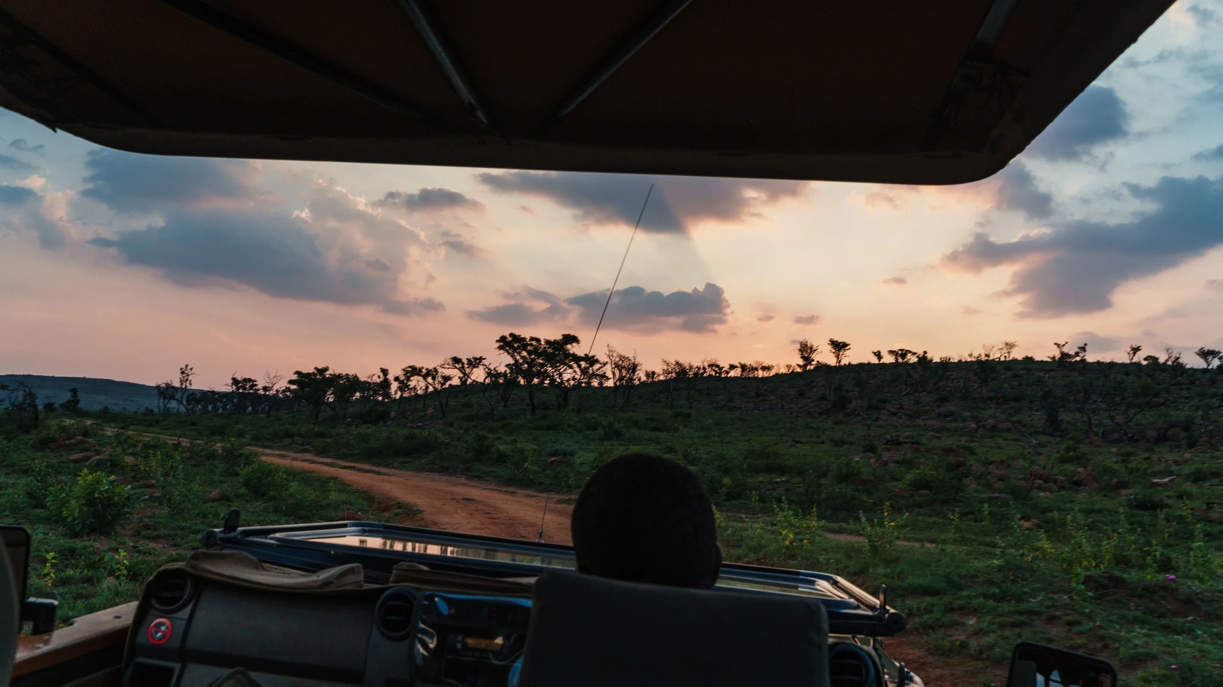 Game+Drive+Hluhluwe+Safari.jpg