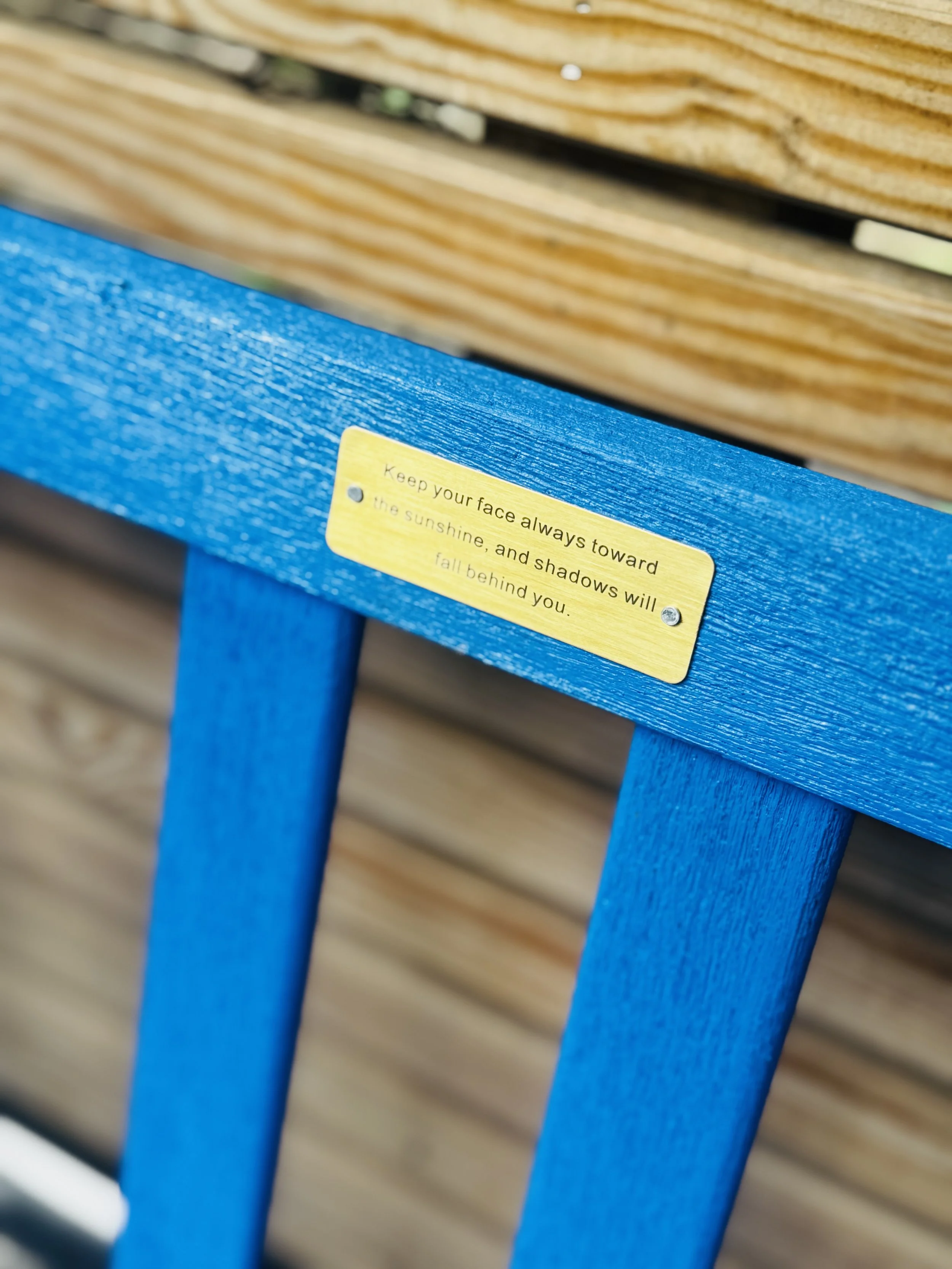 bench4.jpeg