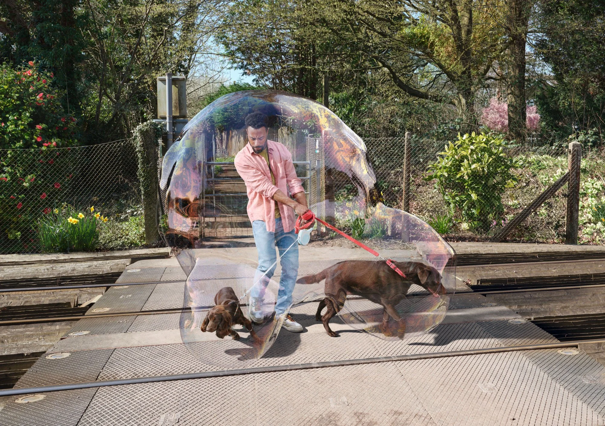Flock Walker Joseph Ford - Network Rail — Flock
