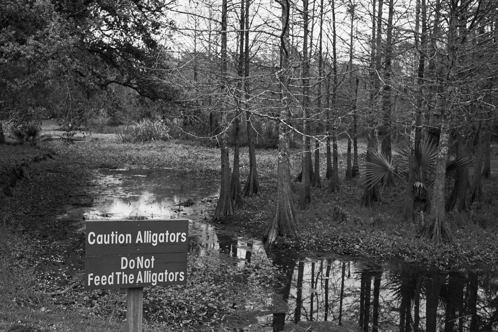 Esquire_Tabasco_Louisiana_0393.jpeg