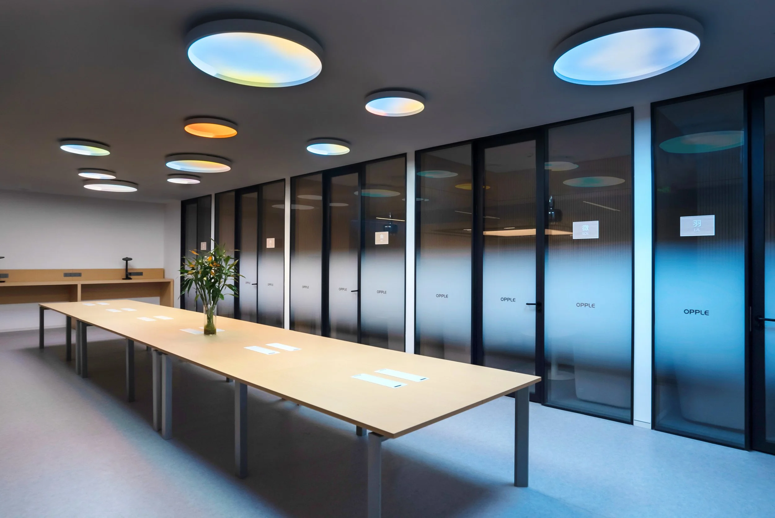SHOWROOM_OPPLE_Skylight.png