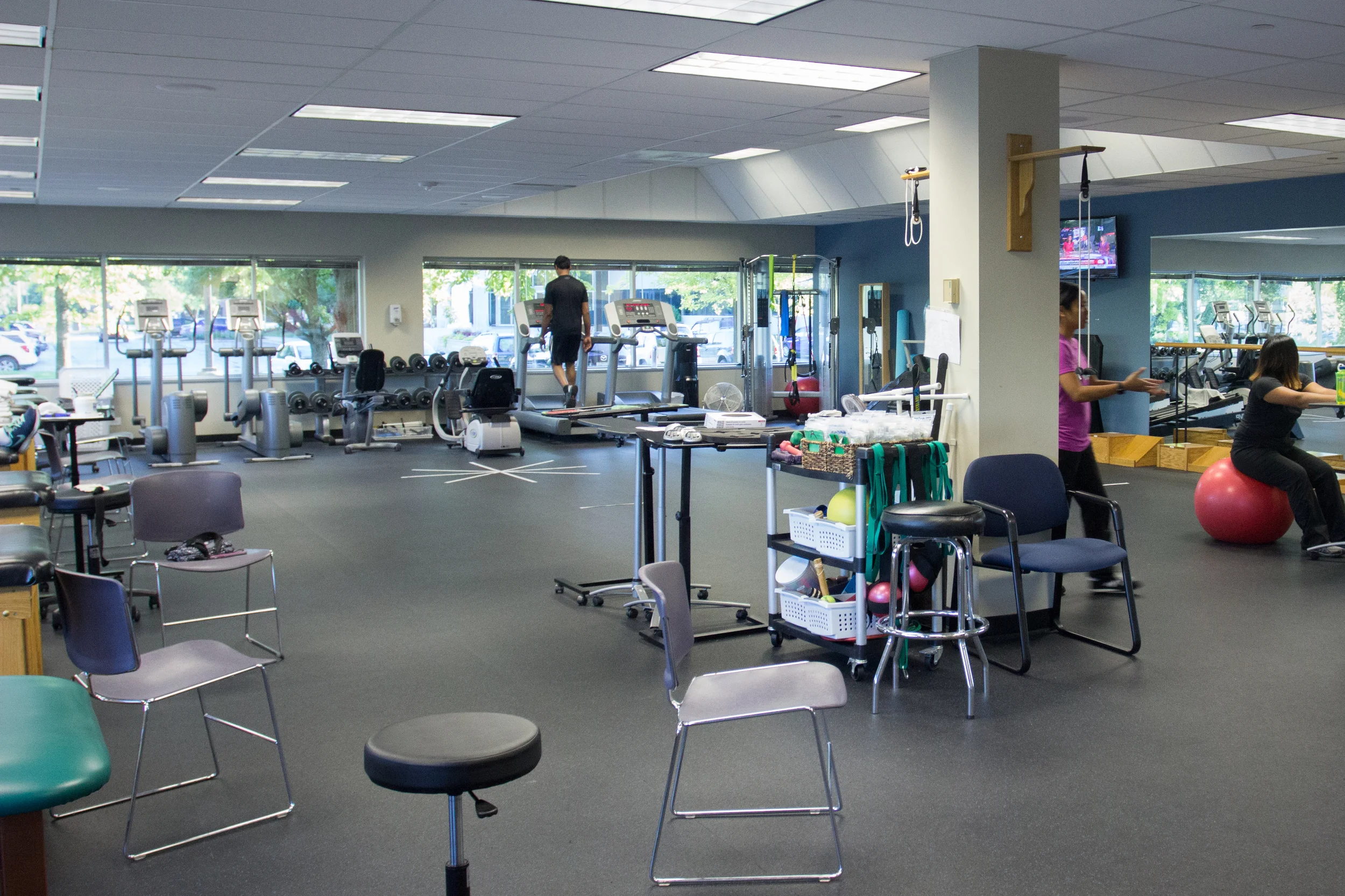 Physical_Therapy.jpg