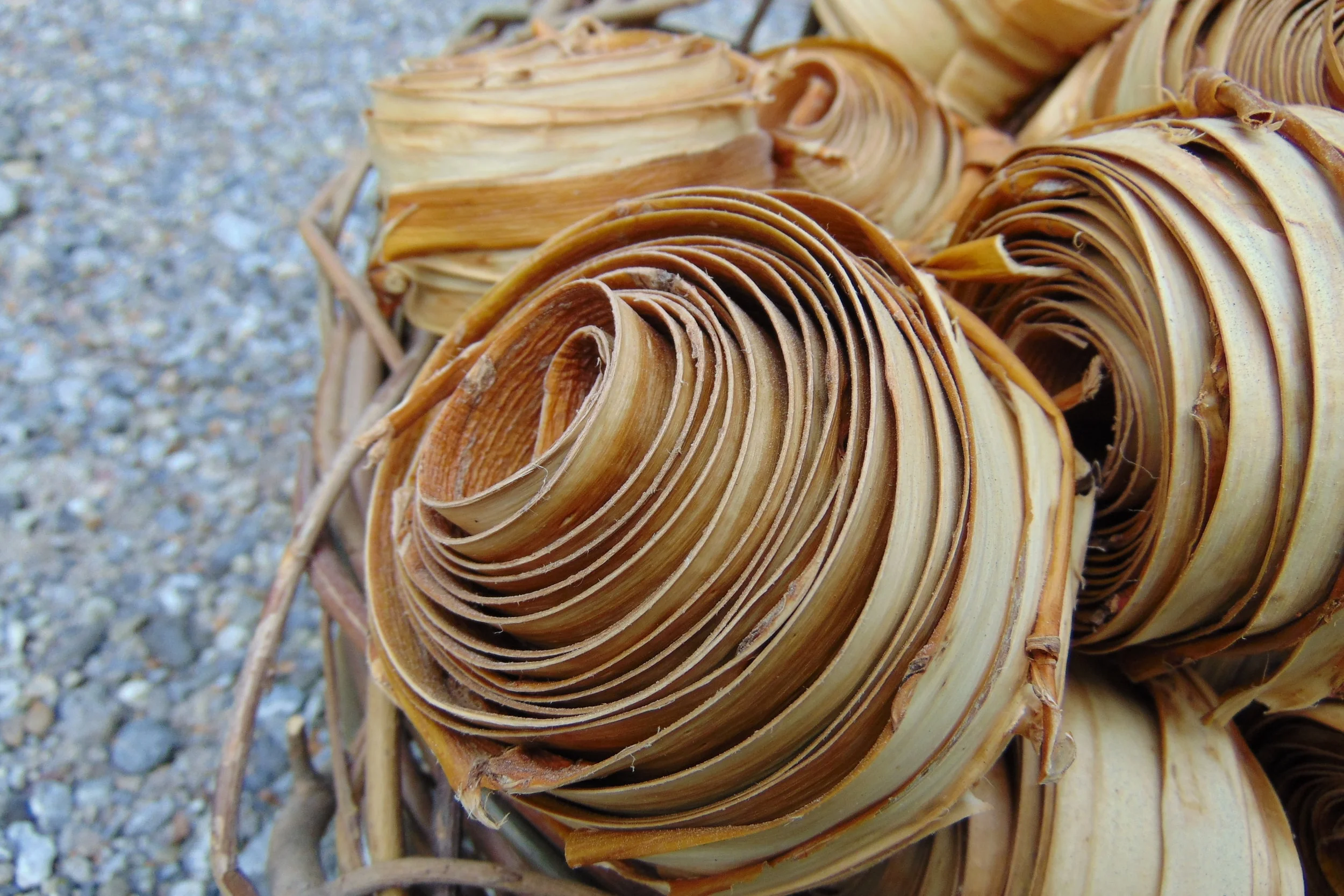 F 18: Mit Rinde flechten