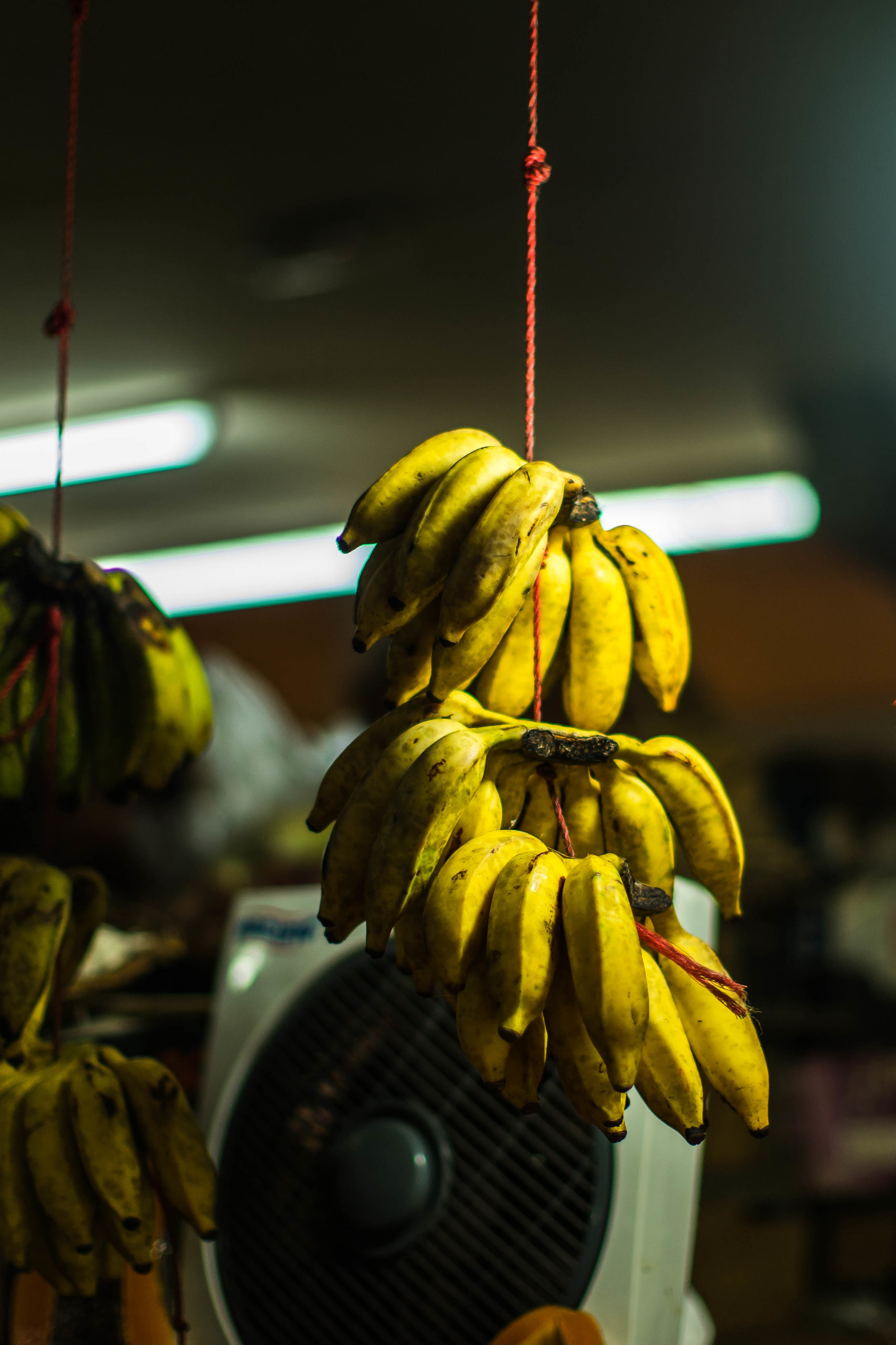 Port Louis Market-1.jpg