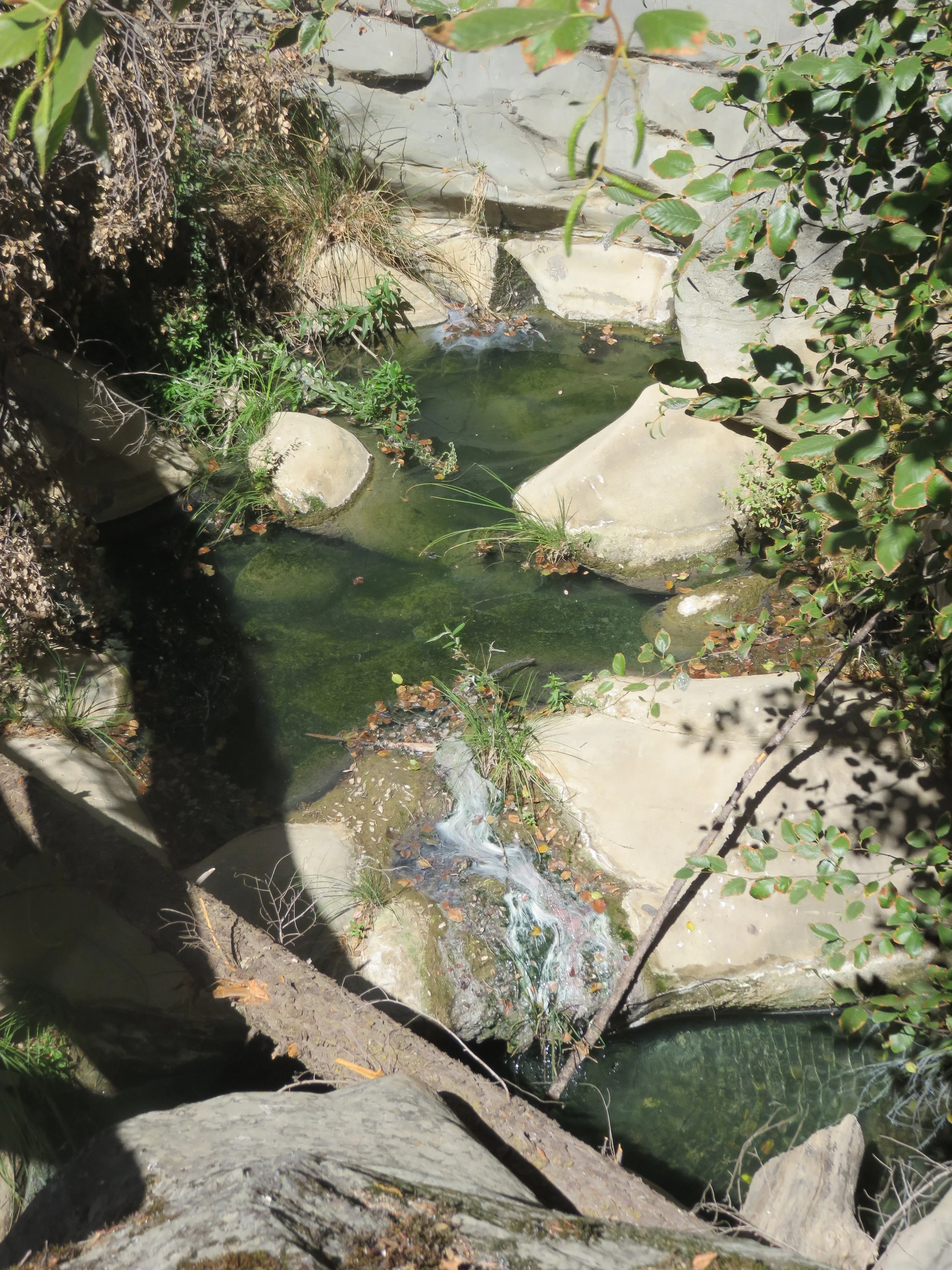 This little oasis of water is a wonderful site in drought stricken California.