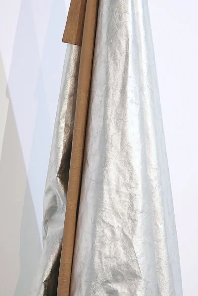 Shapeshifter (detail) (website).jpg