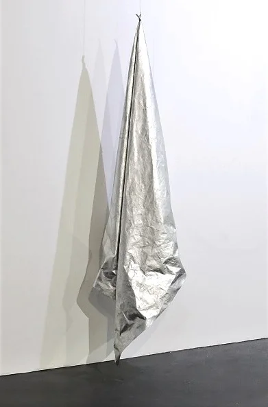 Shapeshifter (back) (website).jpg