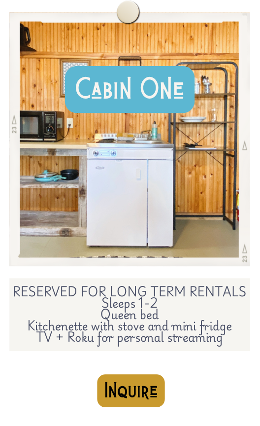 Cabin One Book Now.png