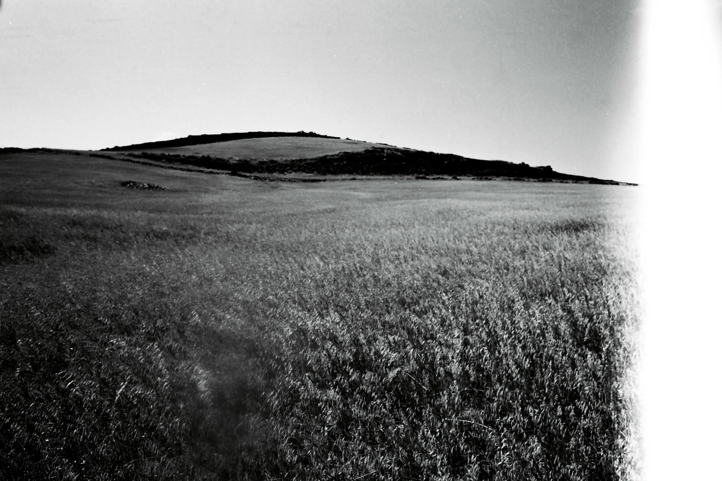 05.jpg