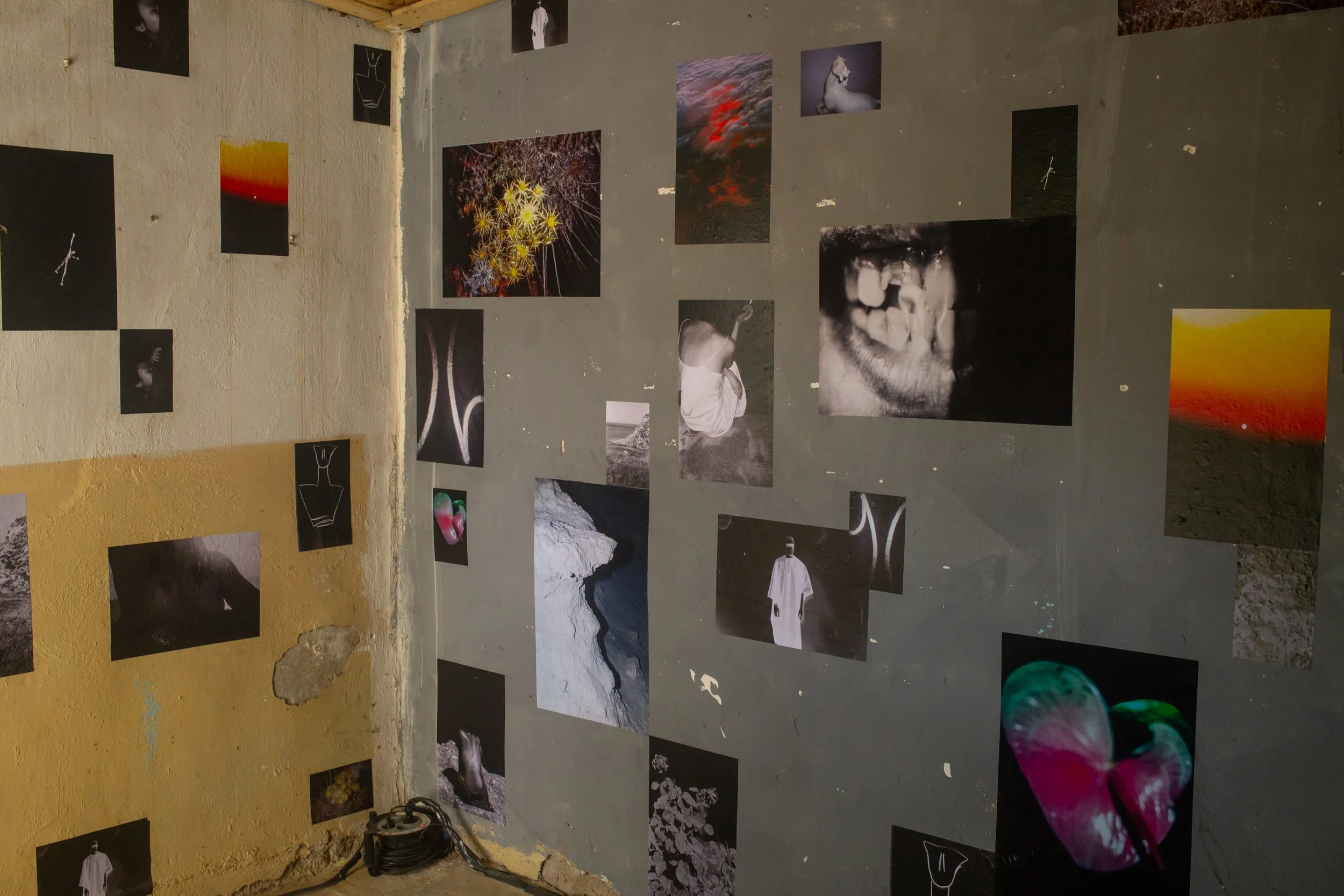 From the Earth to Thermissi curated by Nadia Argyropoulou
