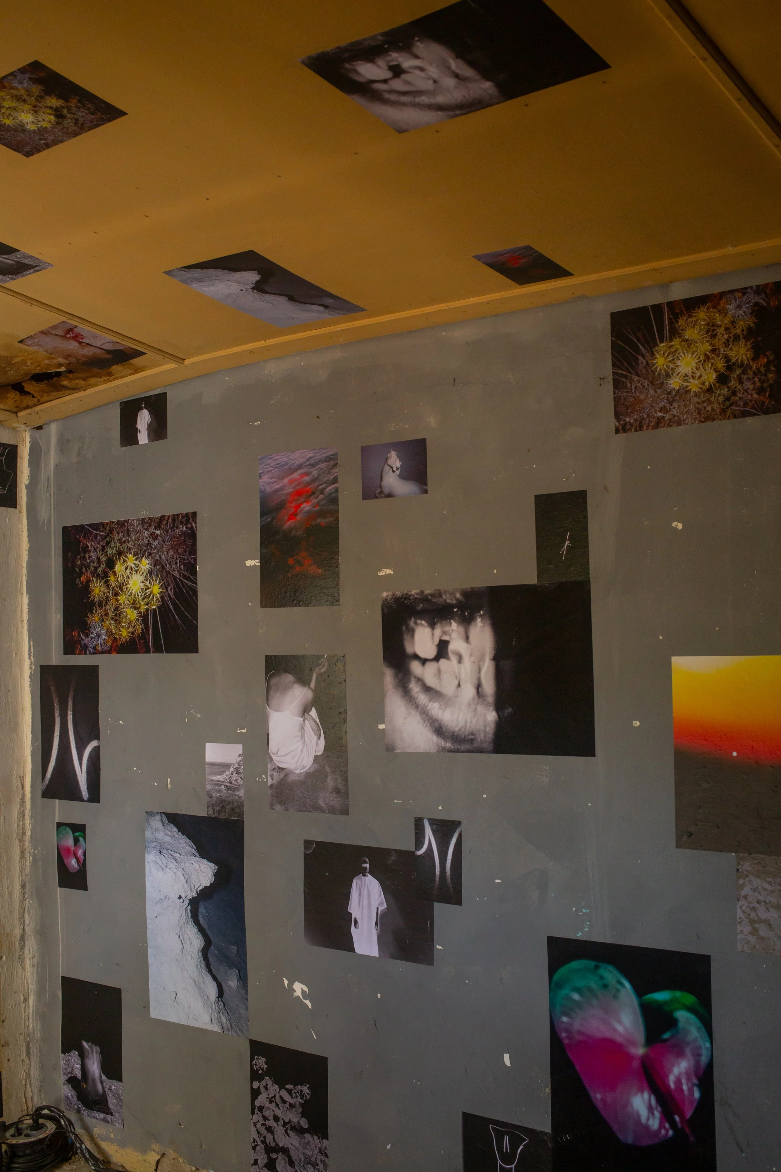 From the Earth to Thermissi curated by Nadia Argyropoulou