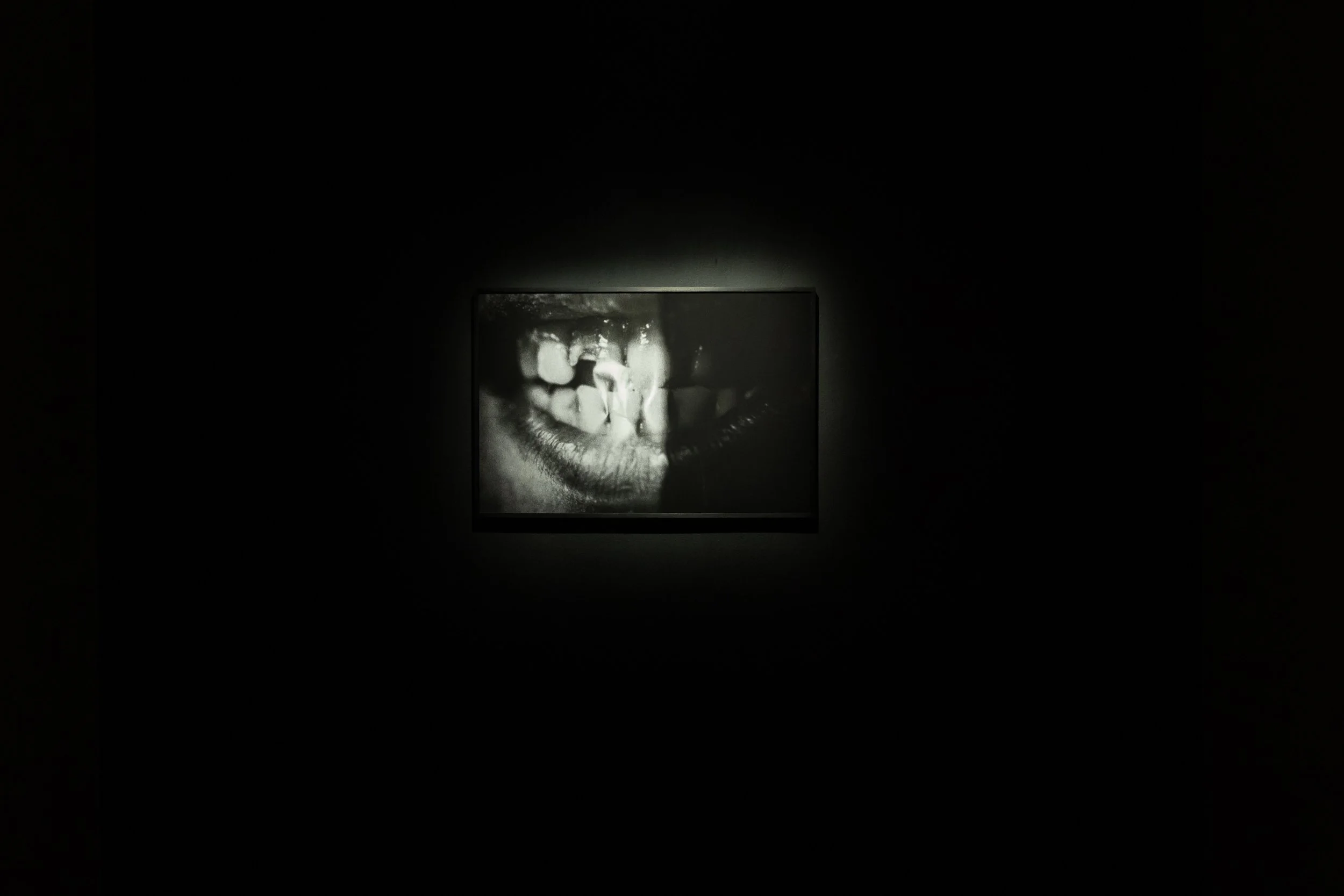 Outraged by Pleasure curated by Nadia Argyropoulou