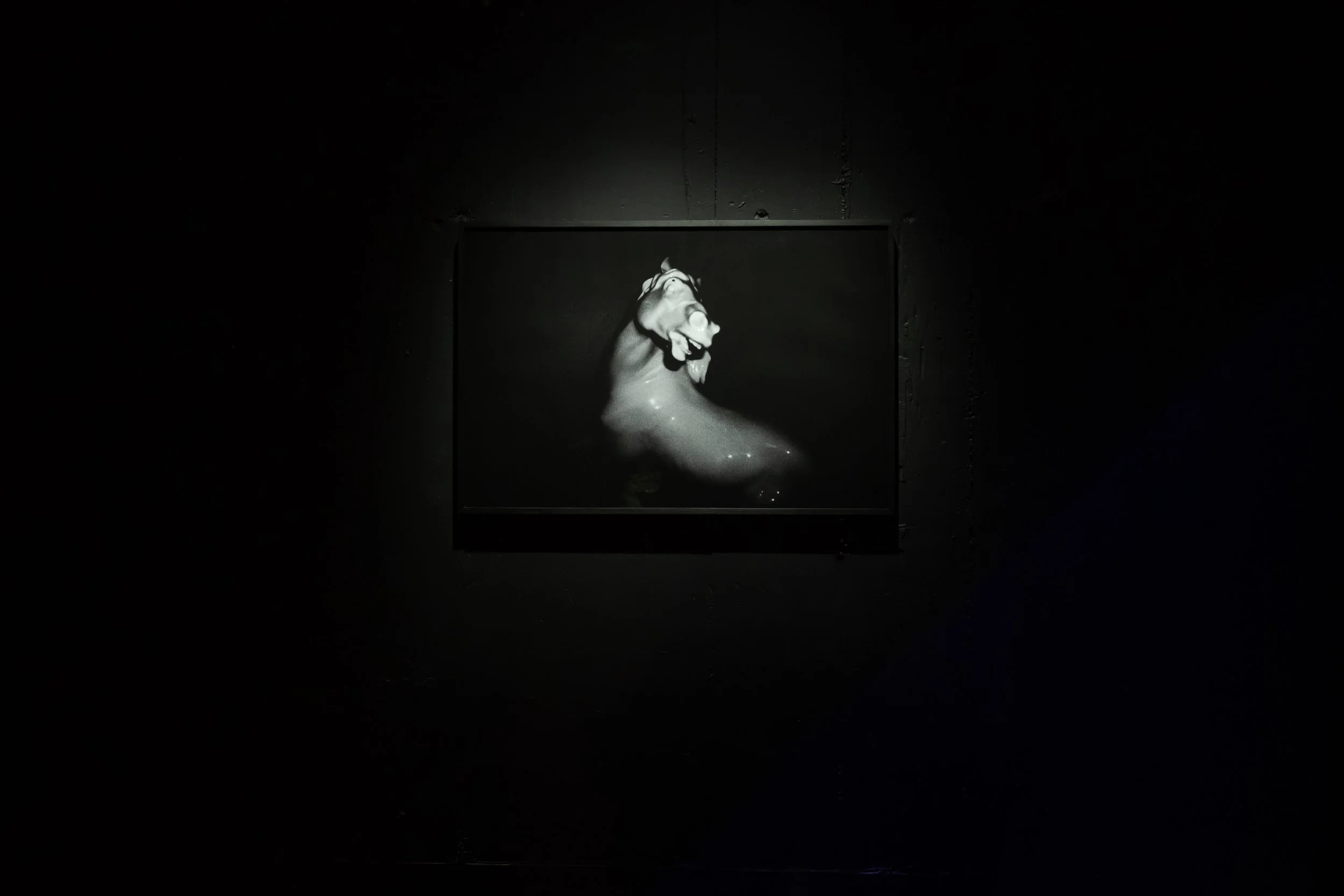 Outraged by Pleasure curated by Nadia Argyropoulou