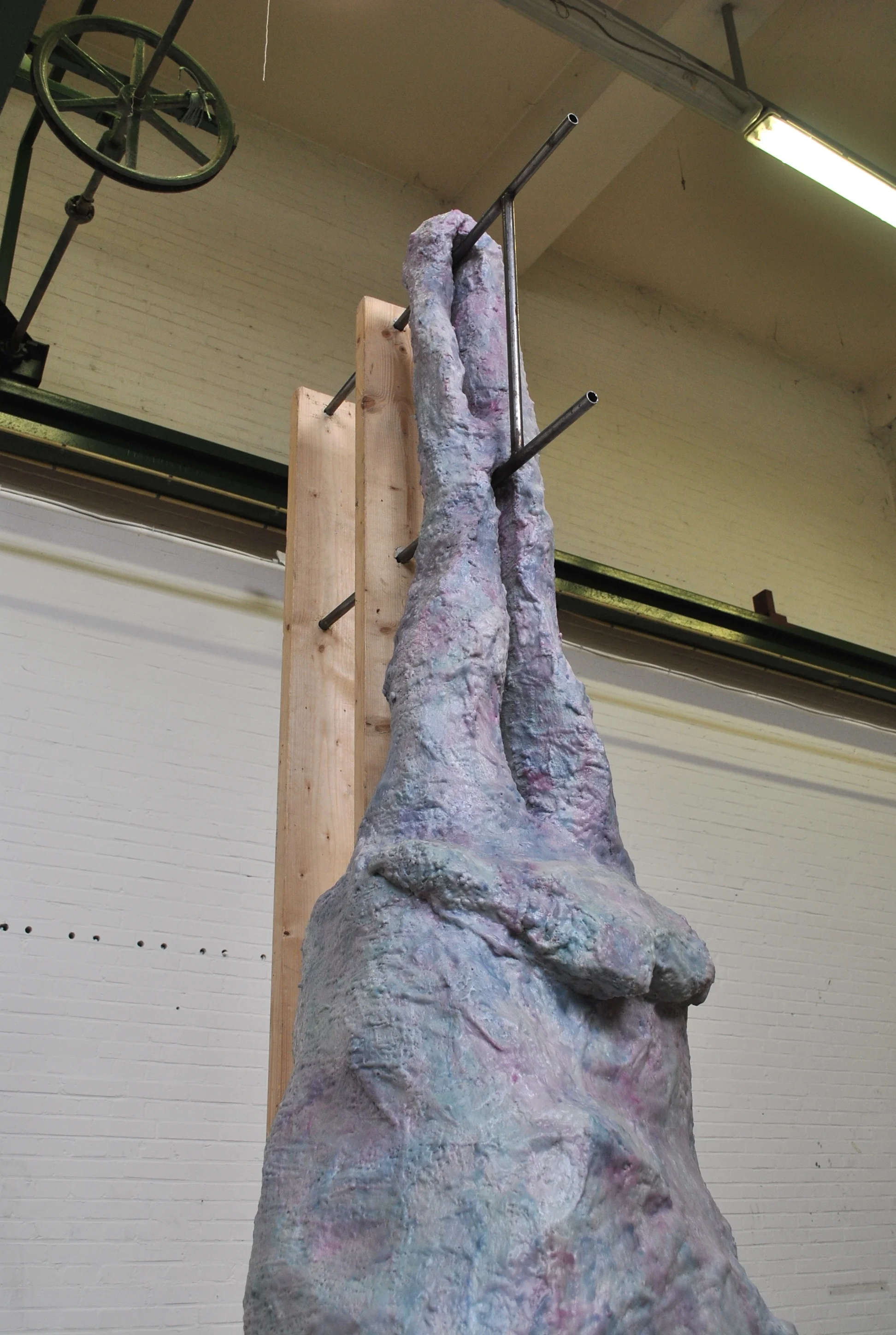 Specimen no. 5, 2015