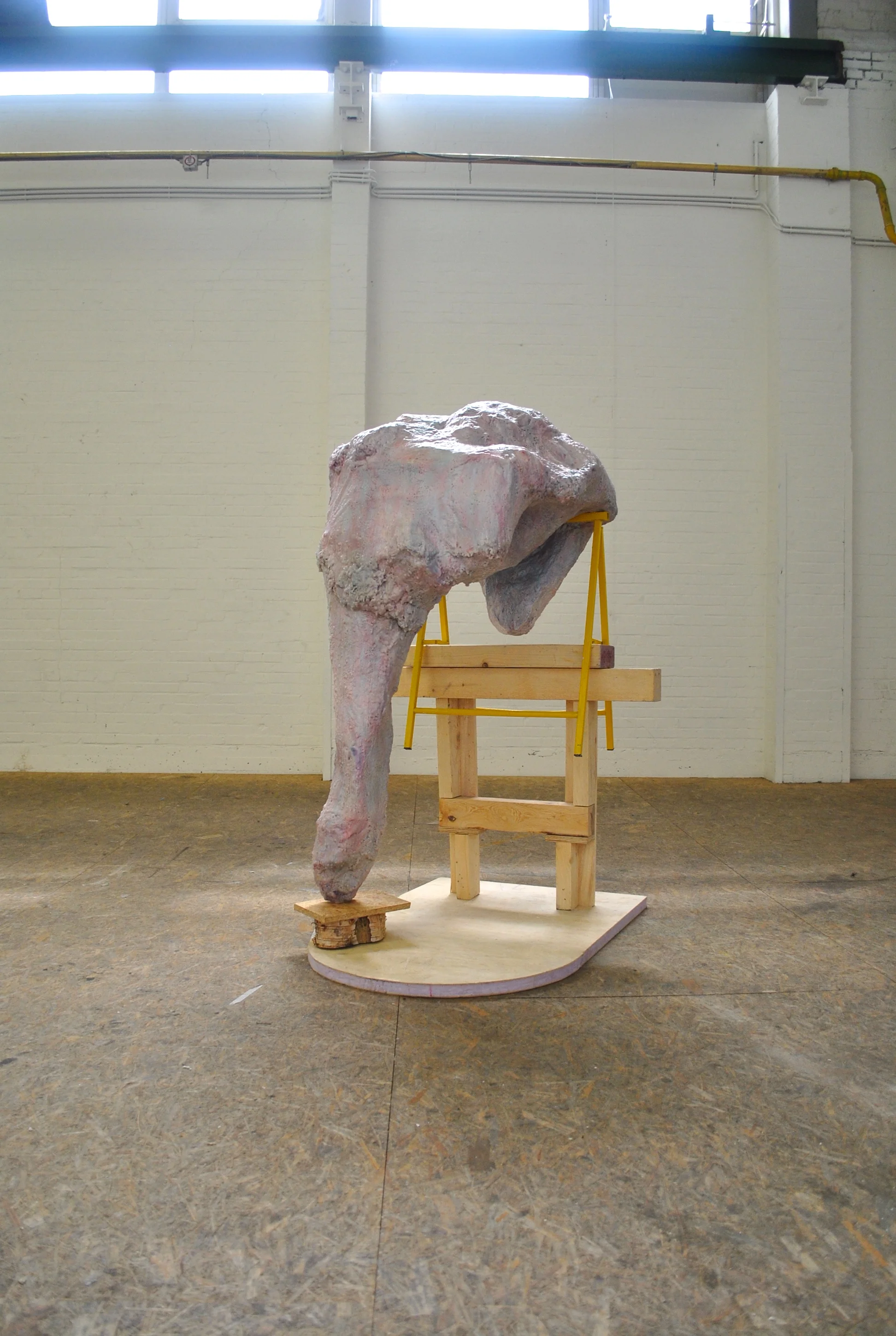 Specimen no. 3, 2015