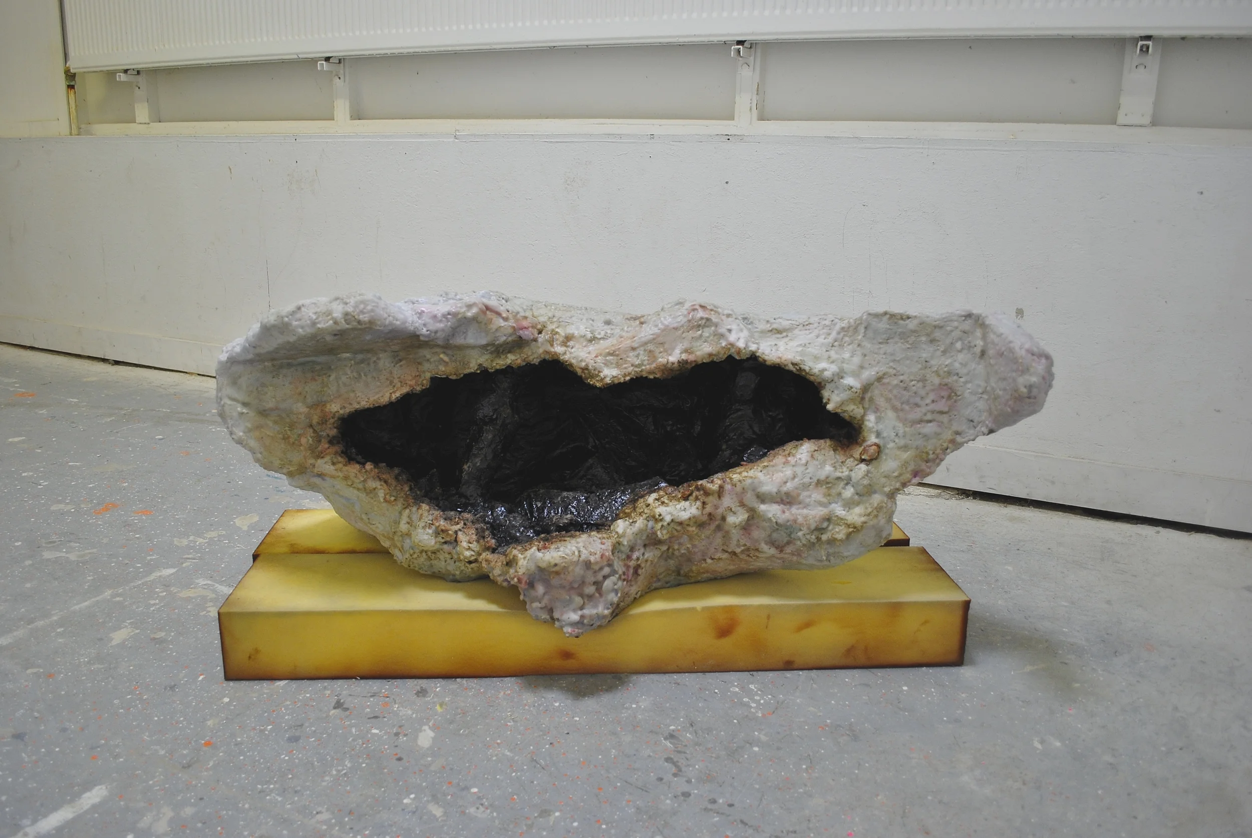 Specimen no. 2, 2015