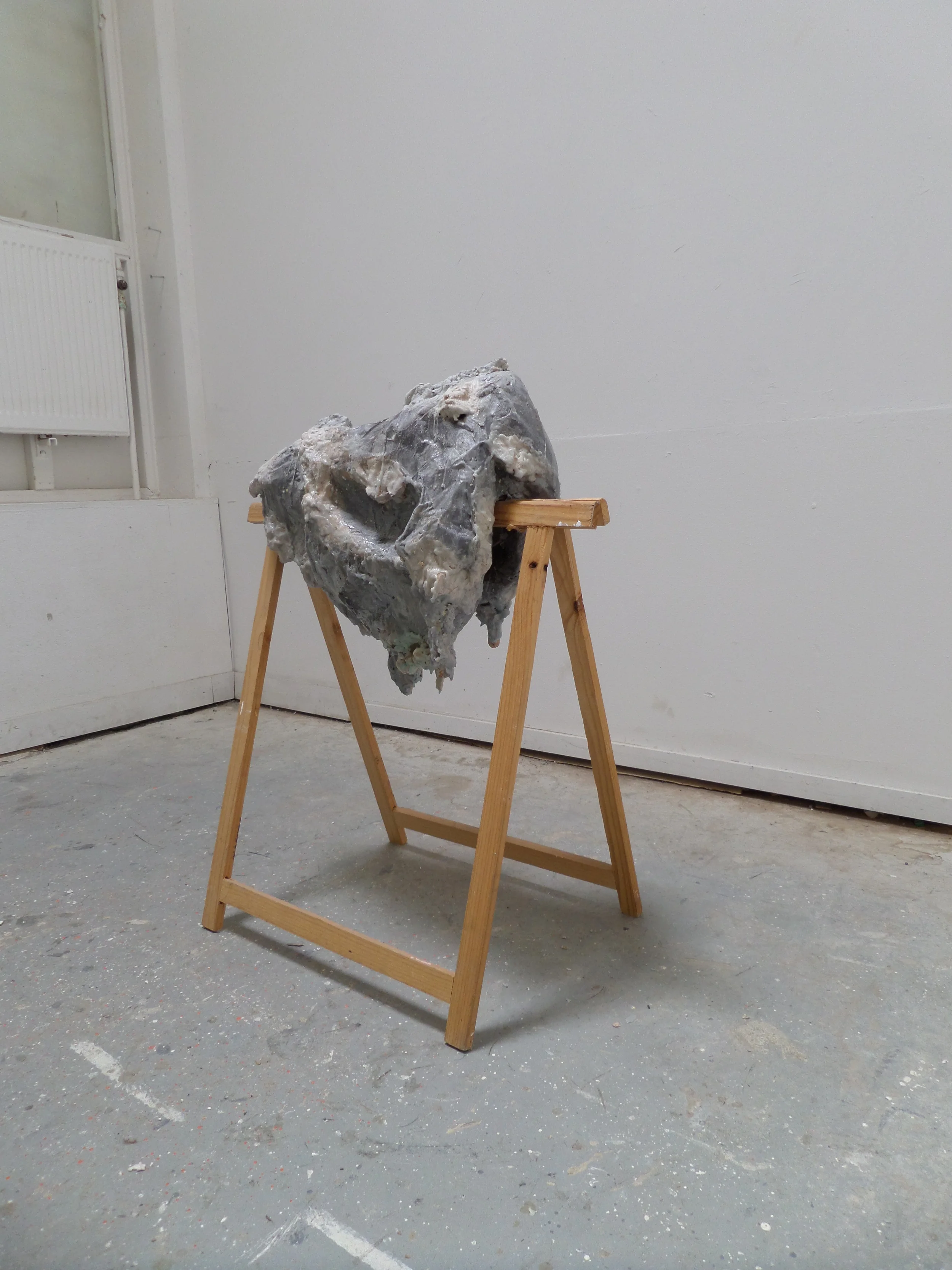 Specimen no. 4.5, 2015