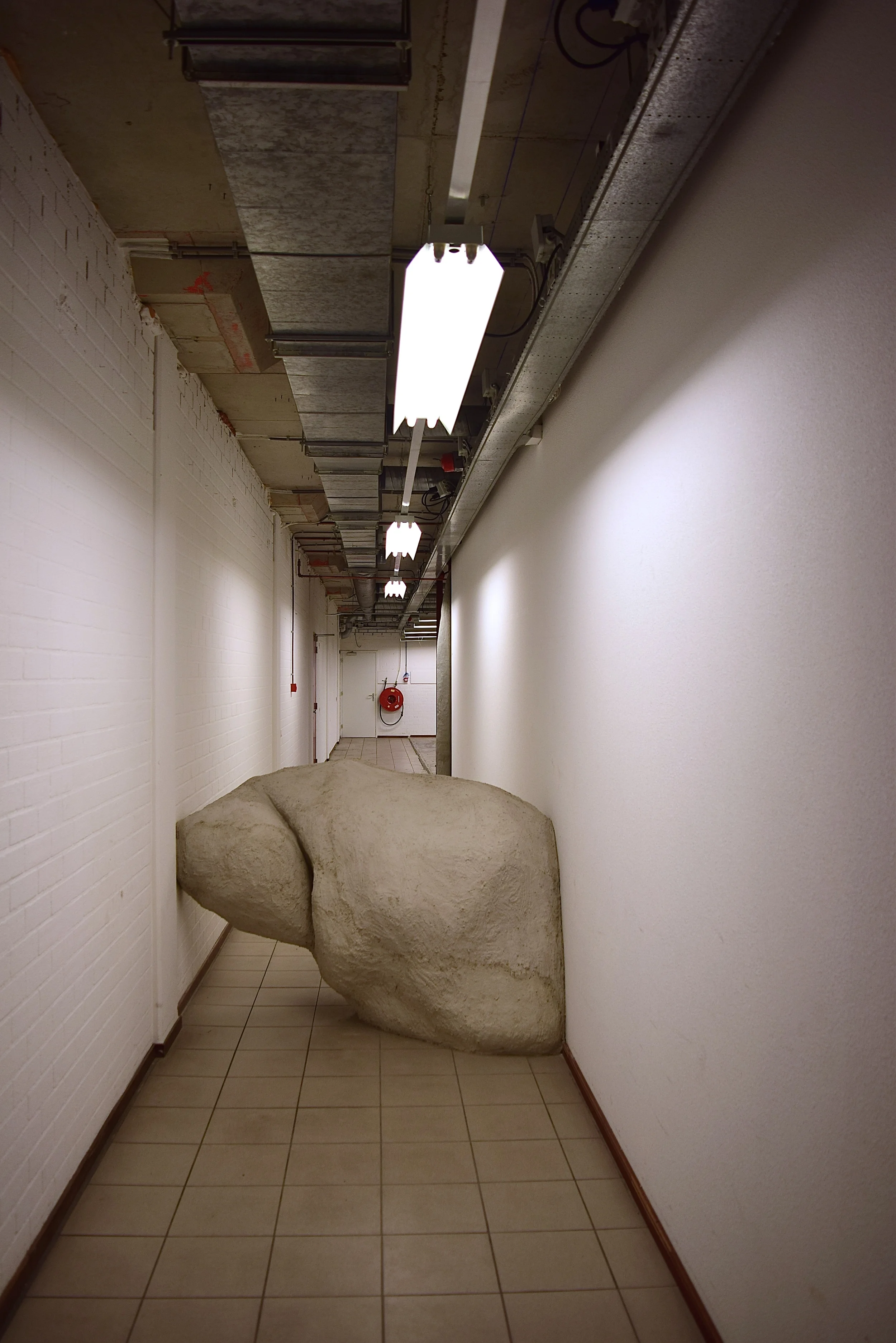 Concretion location 5, 2016