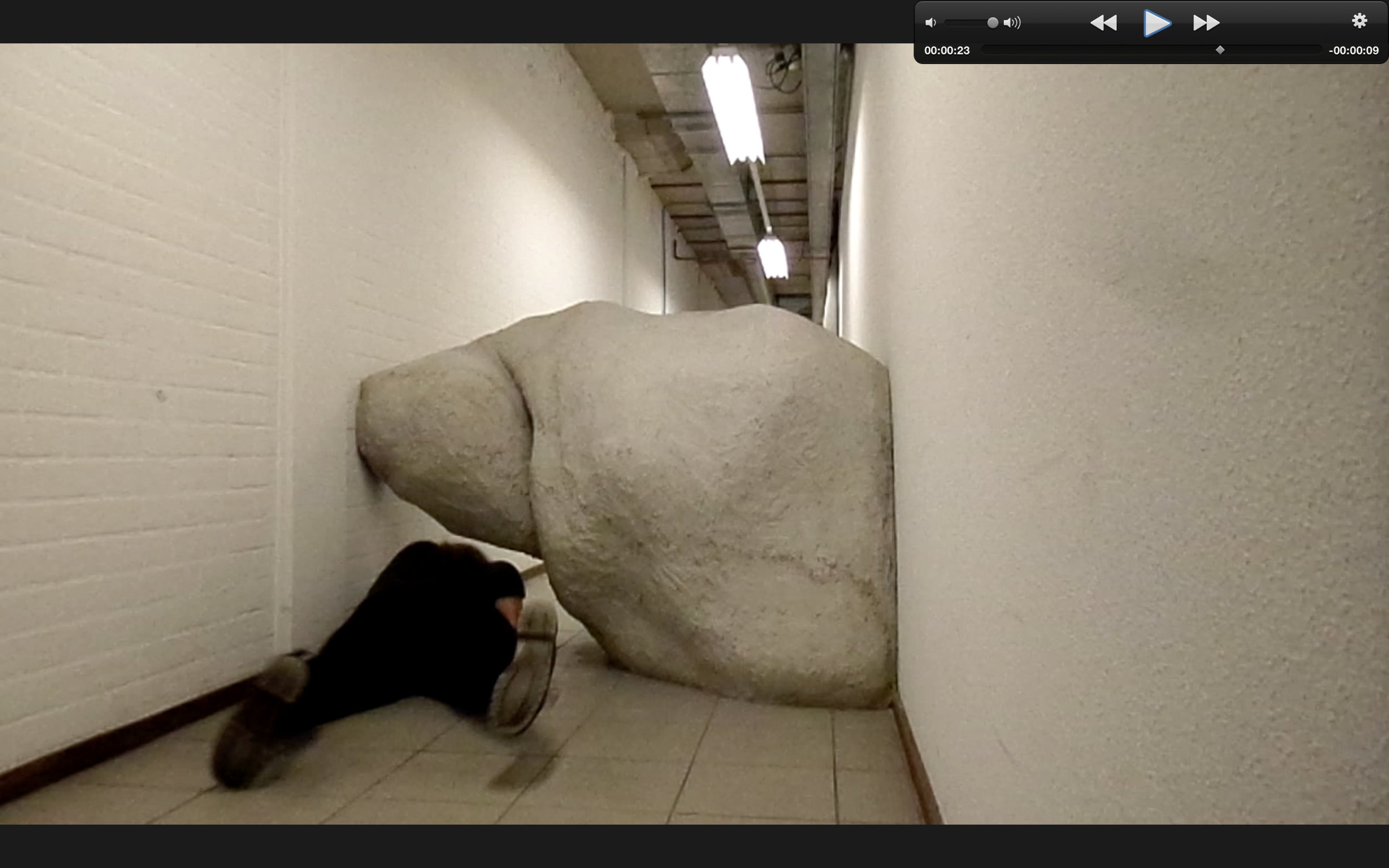 Screen Shot 2016-02-14 at 17.23.06.png