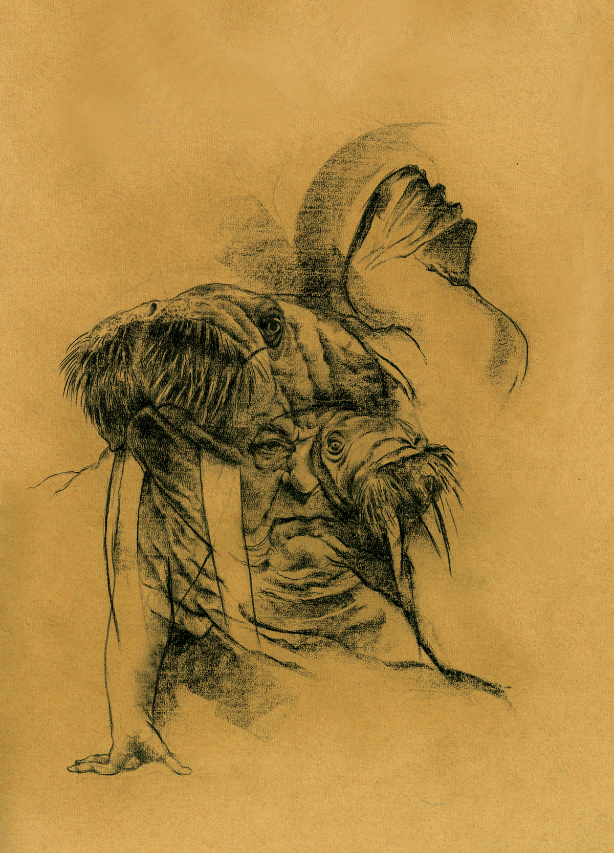   WALRUS  