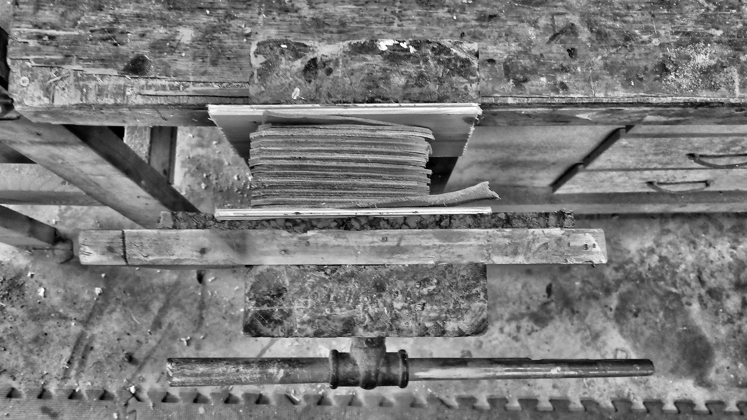 20160508_093343 bw.jpg