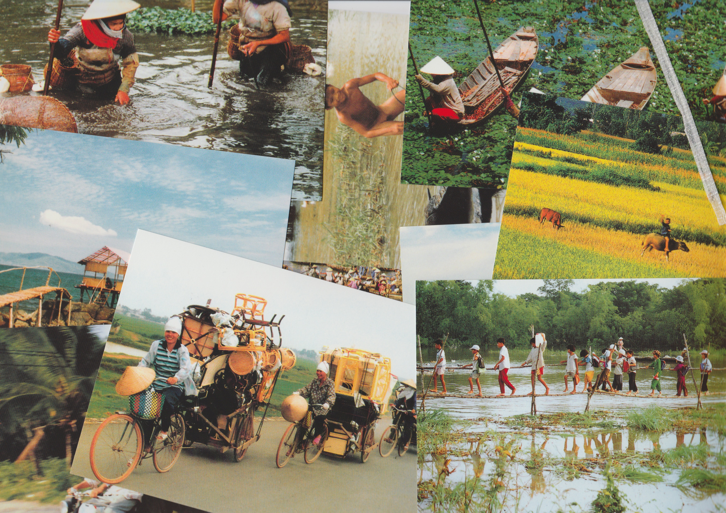 Postcards from Vietnam