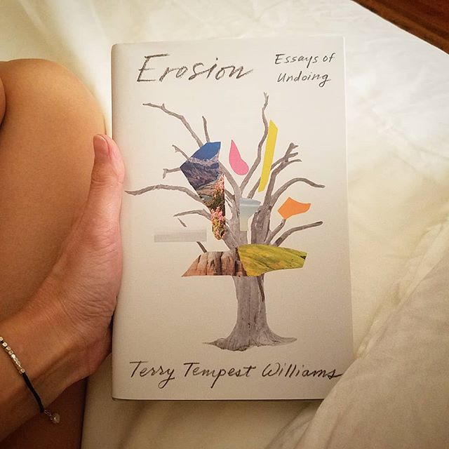 &quot;In the process of being broken open, worn down, and reshaped, an uncommon tranquility can follow. Our undoing is also our becoming.&quot; LAWD.

This is me crawling into bed last night with a book I have been waiting for. Essays of undoing. Per