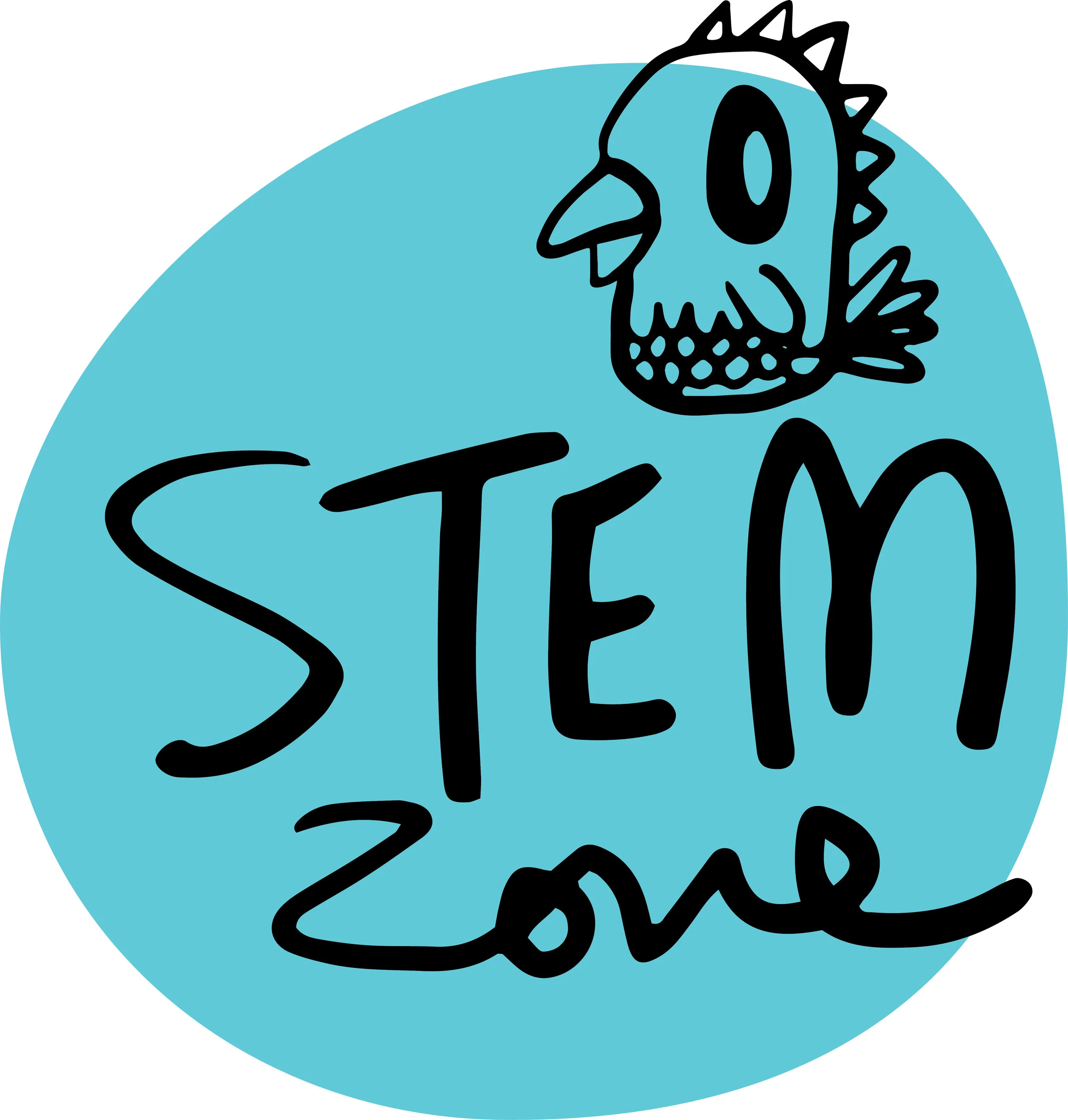 STEMZone.jpg