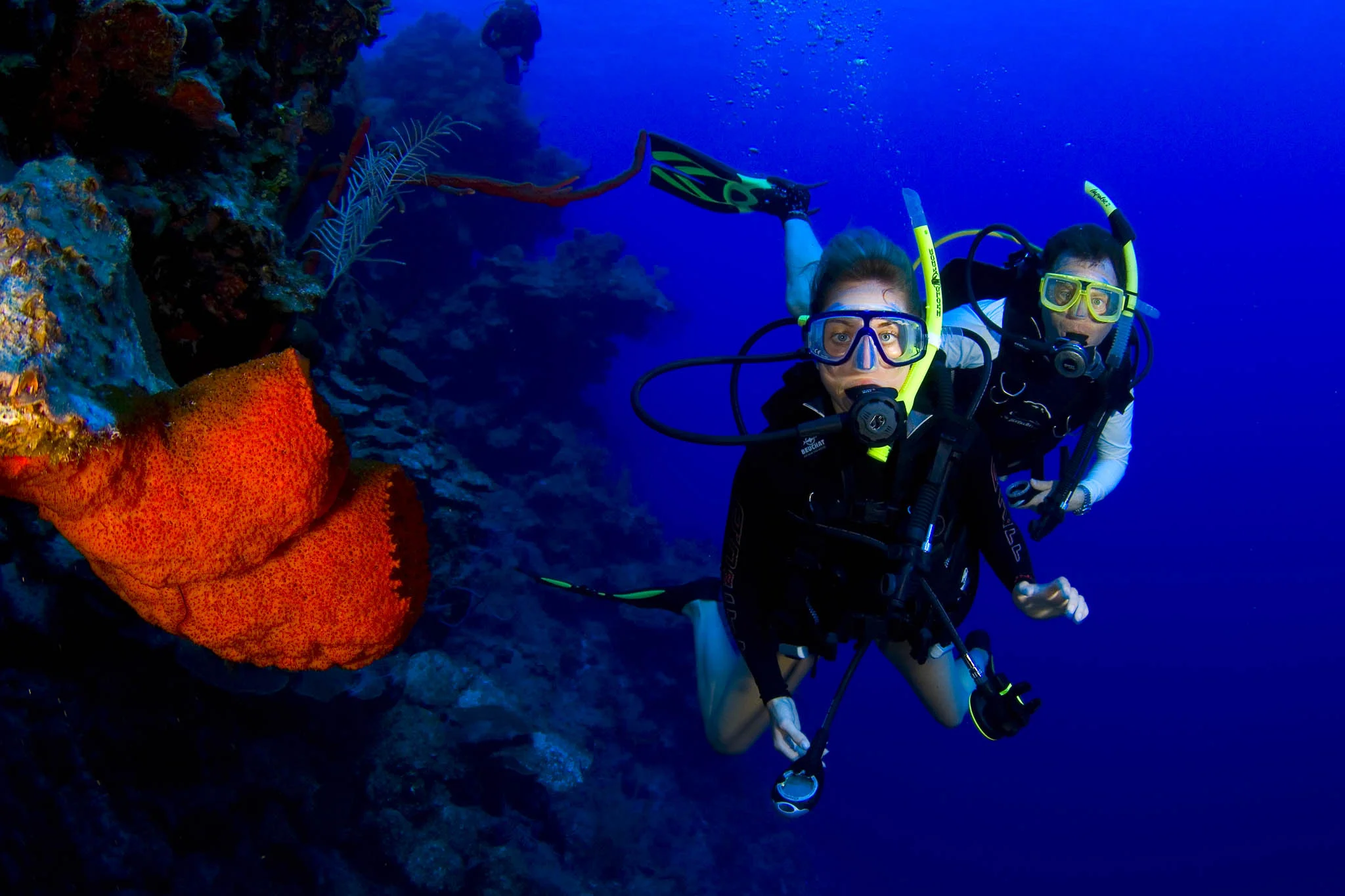  Gabriella Gerbasi | Photography | My Life in Shades of Blue  Underwater photography, scuba diving and freediving around the Caribbean. Swimming and diving with sea turtles, sharks and dolphins in the open ocean. 
