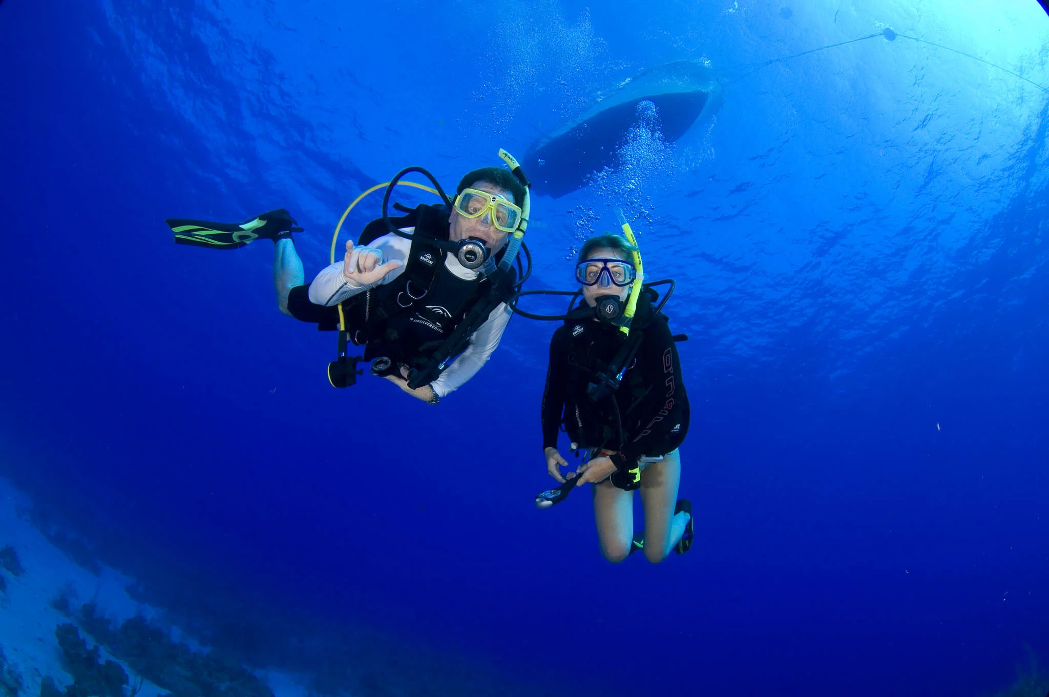  Gabriella Gerbasi | Photography | My Life in Shades of Blue  Underwater photography, scuba diving and freediving around the Caribbean. Swimming and diving with sea turtles, sharks and dolphins in the open ocean. 