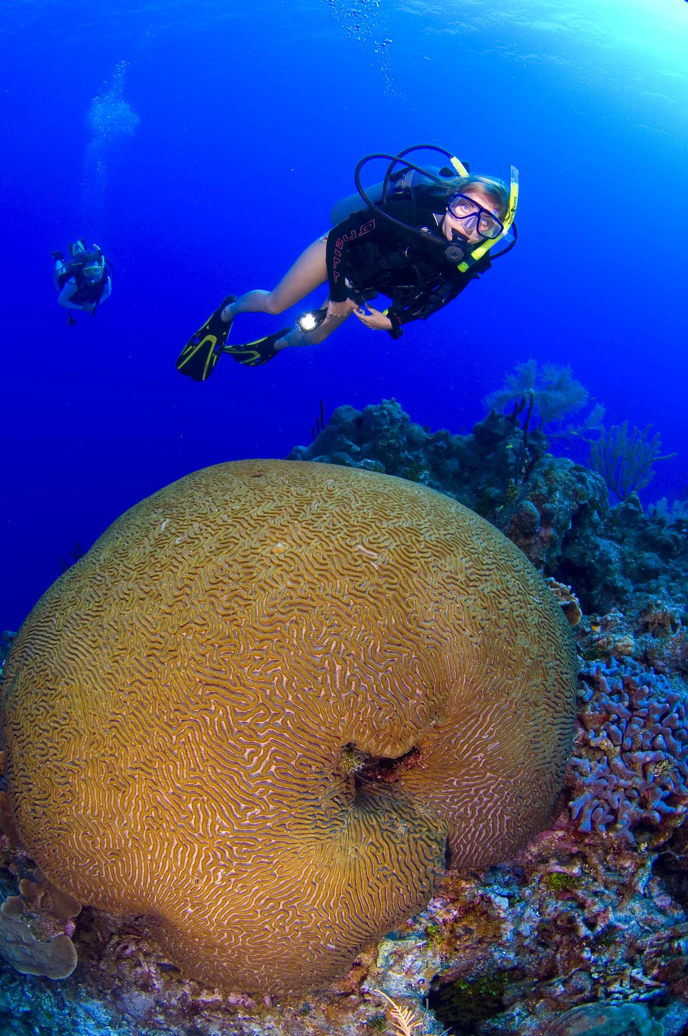  Gabriella Gerbasi | Photography | My Life in Shades of Blue  Underwater photography, scuba diving and freediving around the Caribbean. Swimming and diving with sea turtles, sharks and dolphins in the open ocean. 