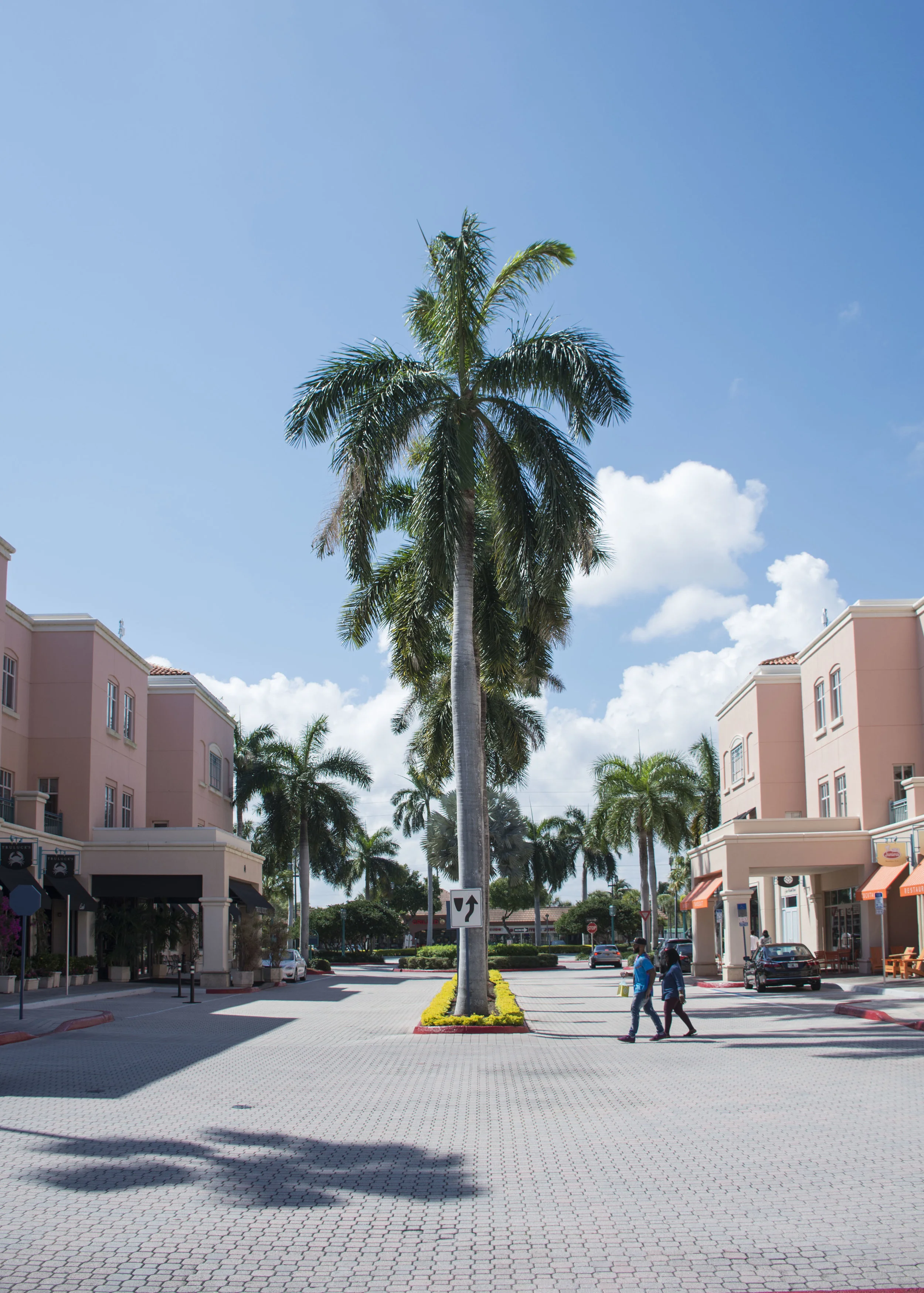  Gabriella Gerbasi | Photography | My Life in Shades of Blue  Travel photography Florida - Welcome to the sunshine state because a bad day in Florida is still better than a good day anywhere else. Beautiful Florida beaches, clear blue ocean, palm tre