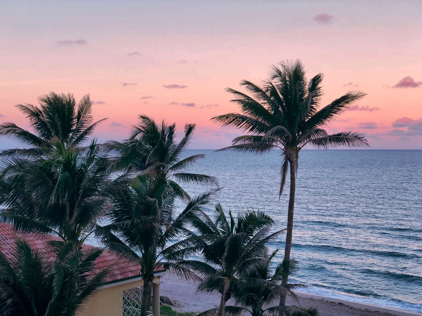  Gabriella Gerbasi | Photography | My Life in Shades of Blue  Travel photography Florida - Welcome to the sunshine state because a bad day in Florida is still better than a good day anywhere else. Beautiful Florida beaches, clear blue ocean, palm tre