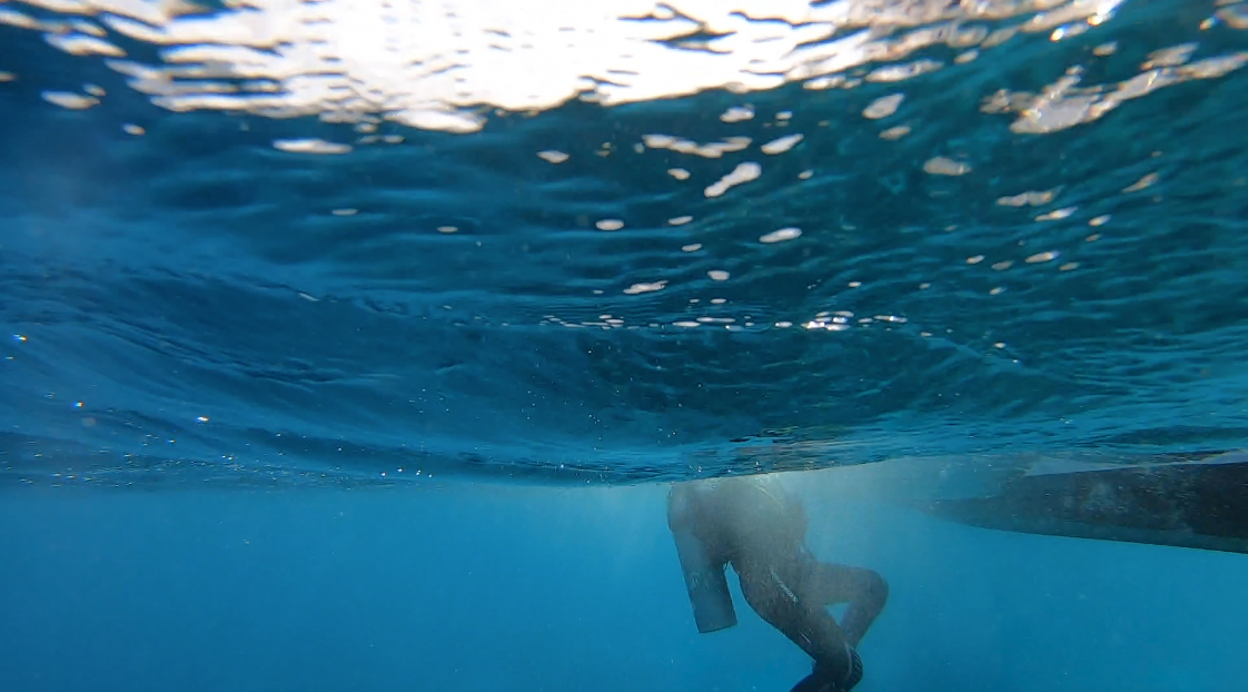 Exploring Bonaire - Diver's Paradise