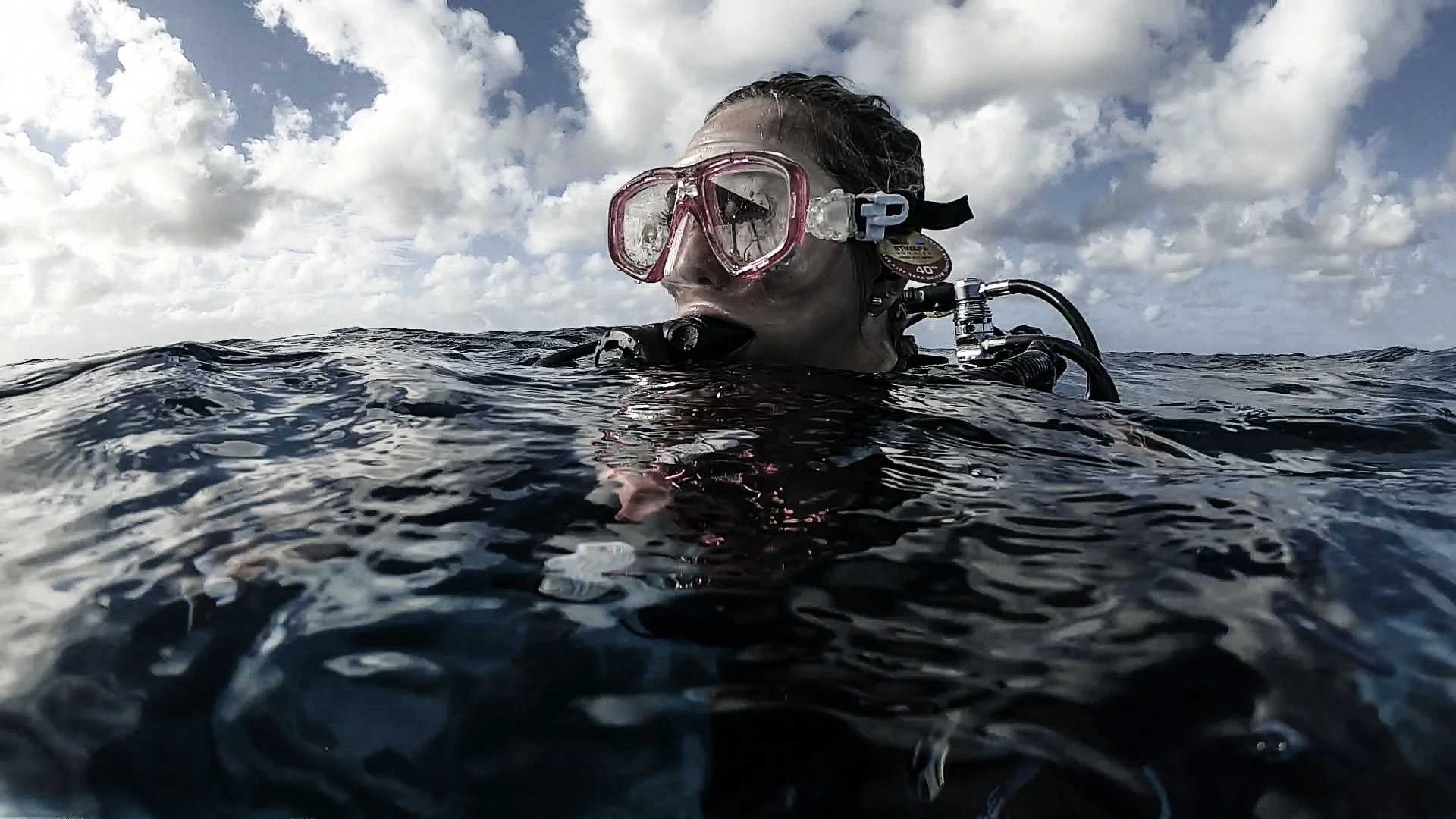  Gabriella Gerbasi | Photography | My Life in Shades of Blue  Underwater photography, scuba diving and freediving around the Caribbean. Swimming and diving with sea turtles, sharks and dolphins in the open ocean. 