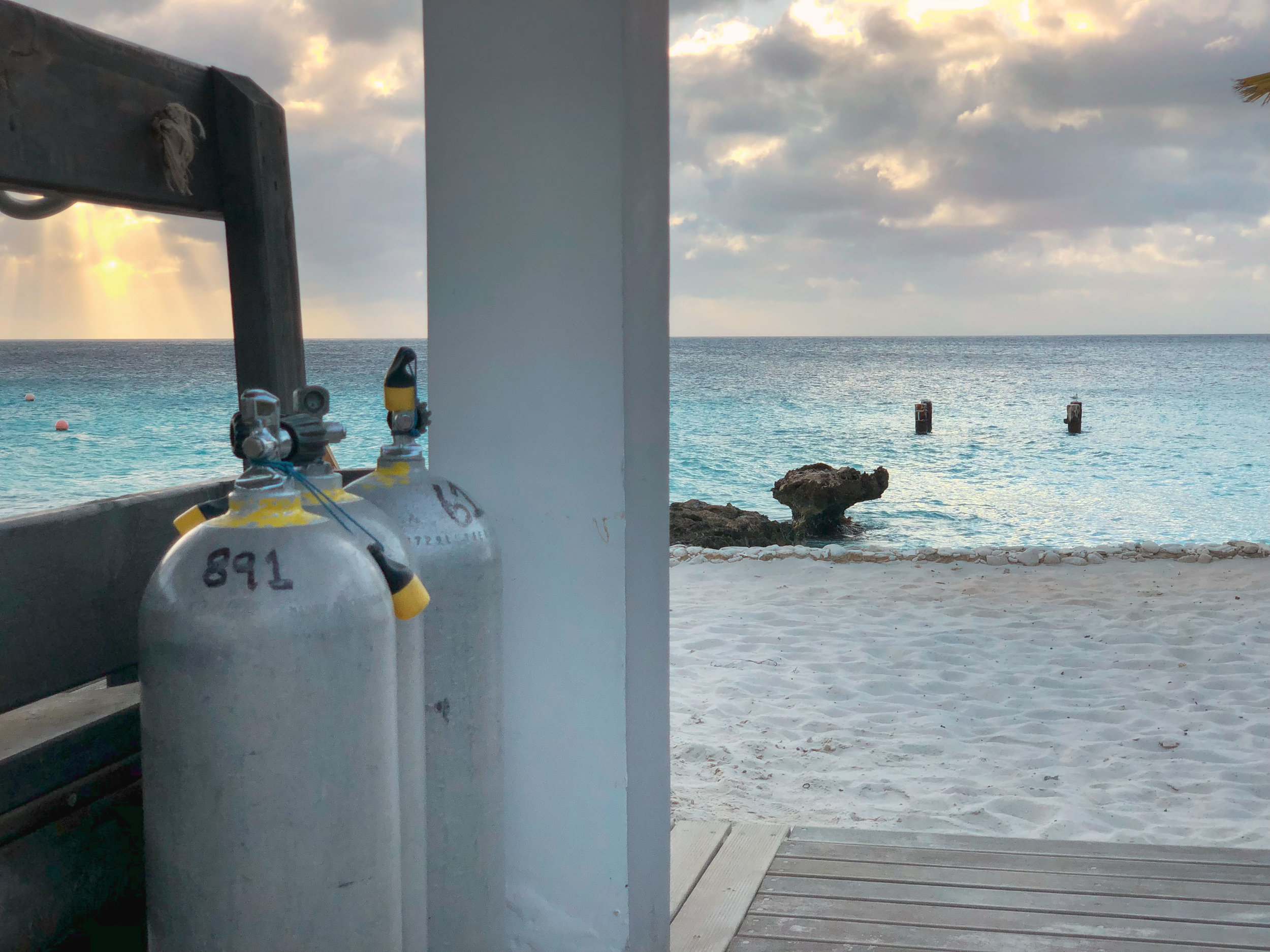  Gabriella Gerbasi | Photography | My Life in Shades of Blue  Underwater photography, scuba diving and freediving around the Caribbean. Swimming and diving with sea turtles, sharks and dolphins in the open ocean. 