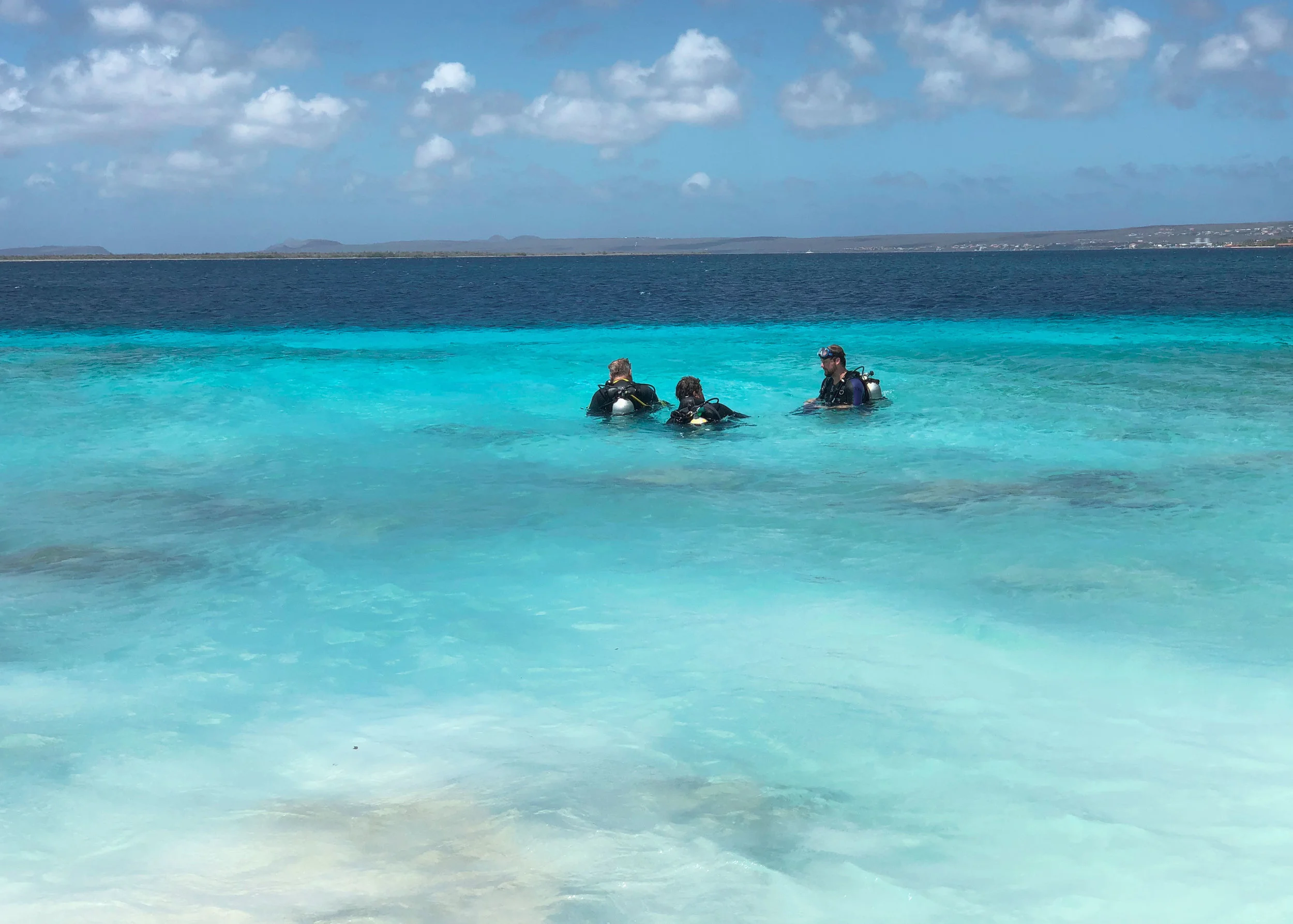  Gabriella Gerbasi | Photography | My Life in Shades of Blue  Underwater photography, scuba diving and freediving around the Caribbean. Swimming and diving with sea turtles, sharks and dolphins in the open ocean. 