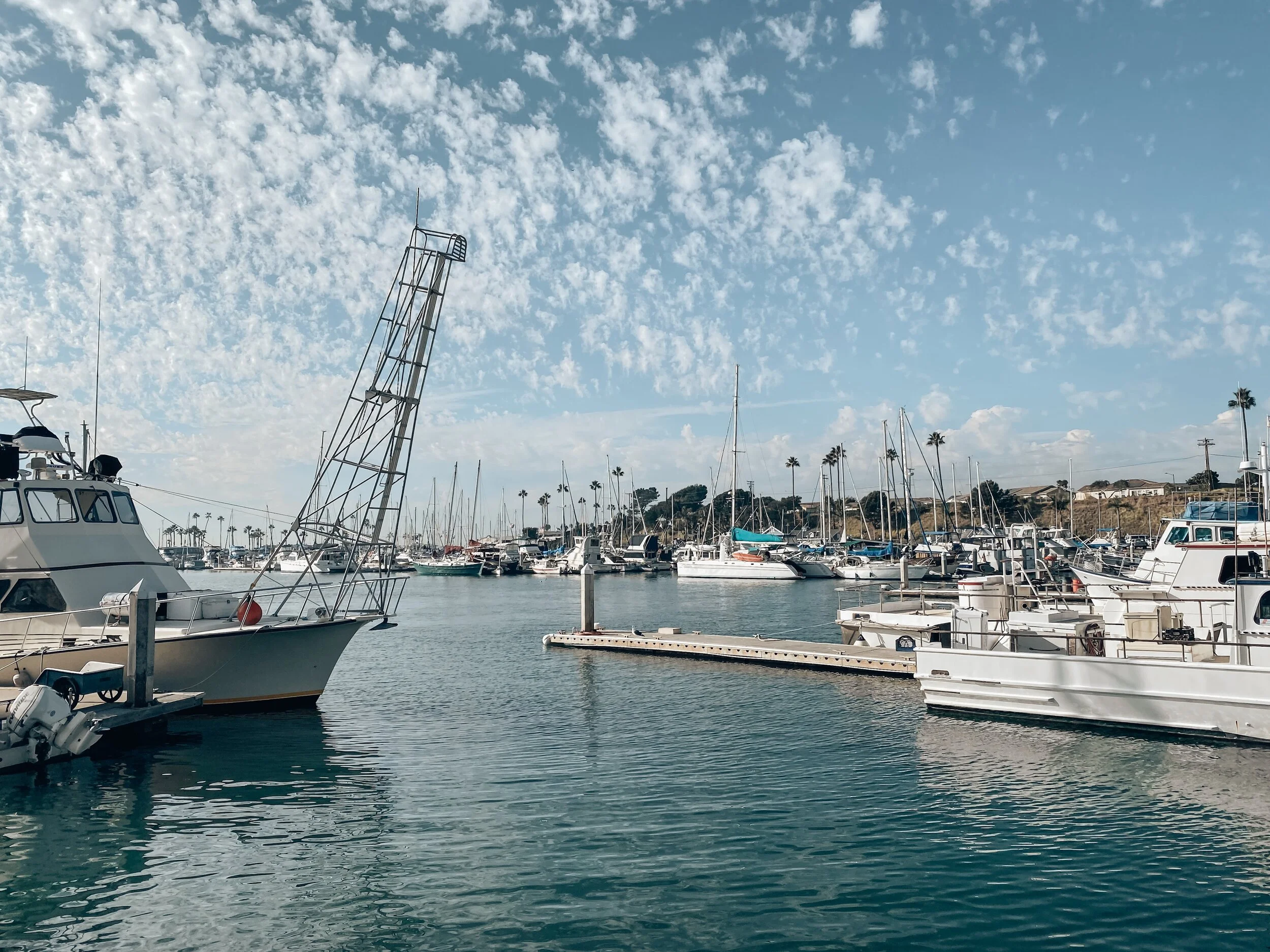  Gabriella Gerbasi | Photography | My Life in Shades of Blue  Travel photography on the West Coast in California, visiting Los Angeles, Santa Monica, Venice Beach, Melrose Avenue, the Broad Museum, and beautiful beaches of Malibu with my sister. 