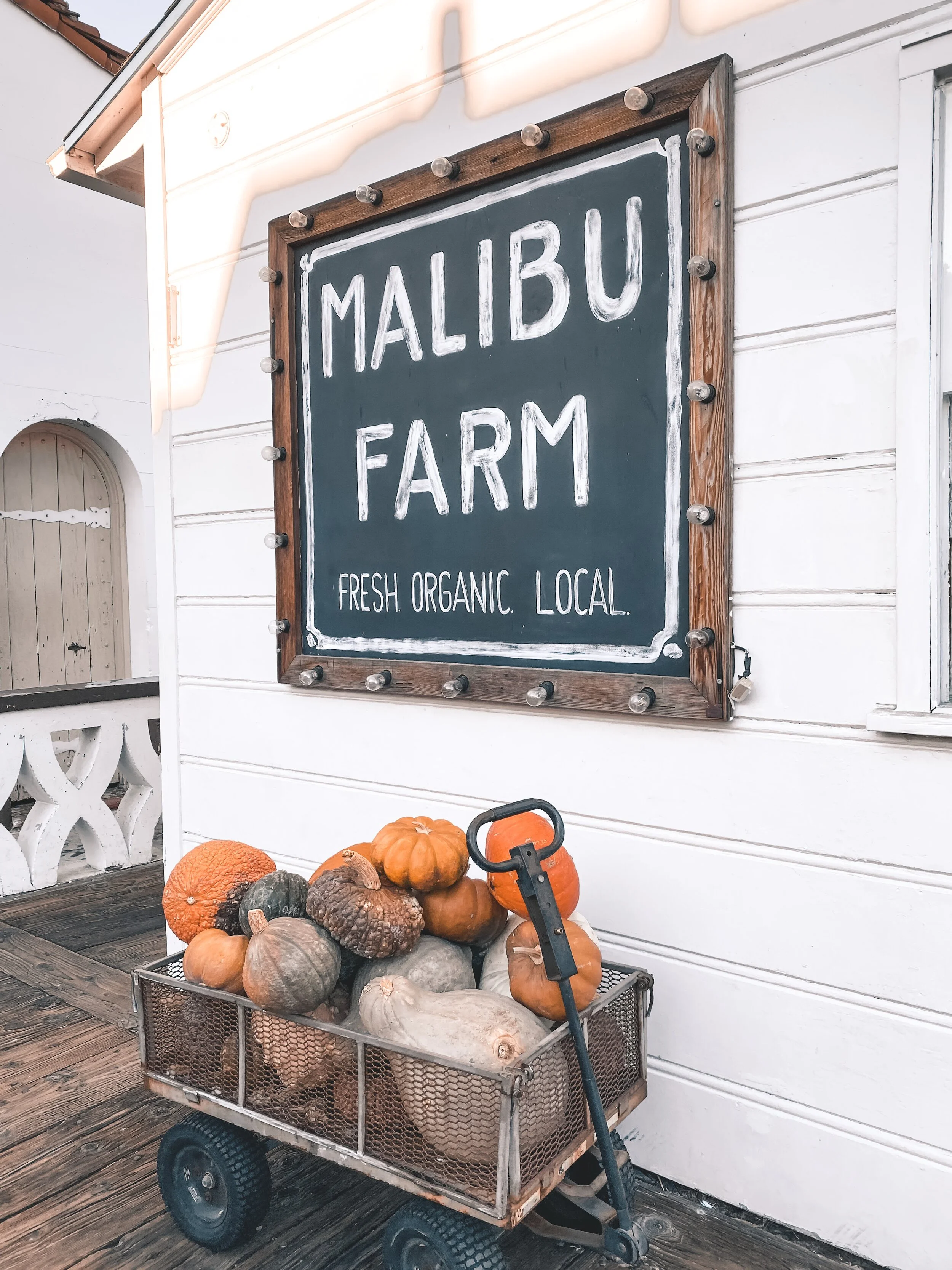  Gabriella Gerbasi | Photography | My Life in Shades of Blue  Travel photography on the West Coast in California, visiting Los Angeles, Santa Monica, Venice Beach, Melrose Avenue, the Broad Museum, and beautiful beaches of Malibu with my sister. 