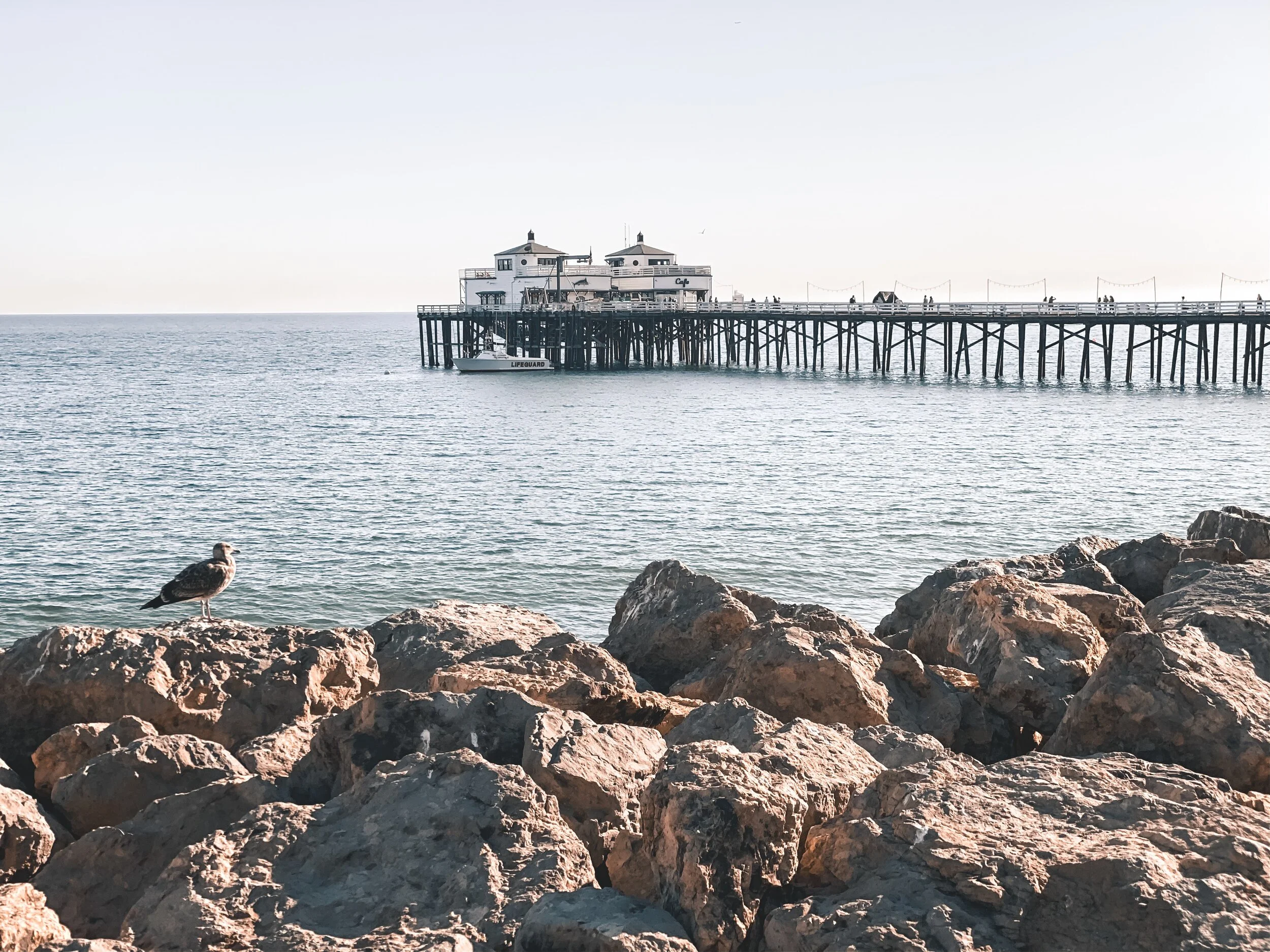  Gabriella Gerbasi | Photography | My Life in Shades of Blue  Travel photography on the West Coast in California, visiting Los Angeles, Santa Monica, Venice Beach, Melrose Avenue, the Broad Museum, and beautiful beaches of Malibu with my sister. 