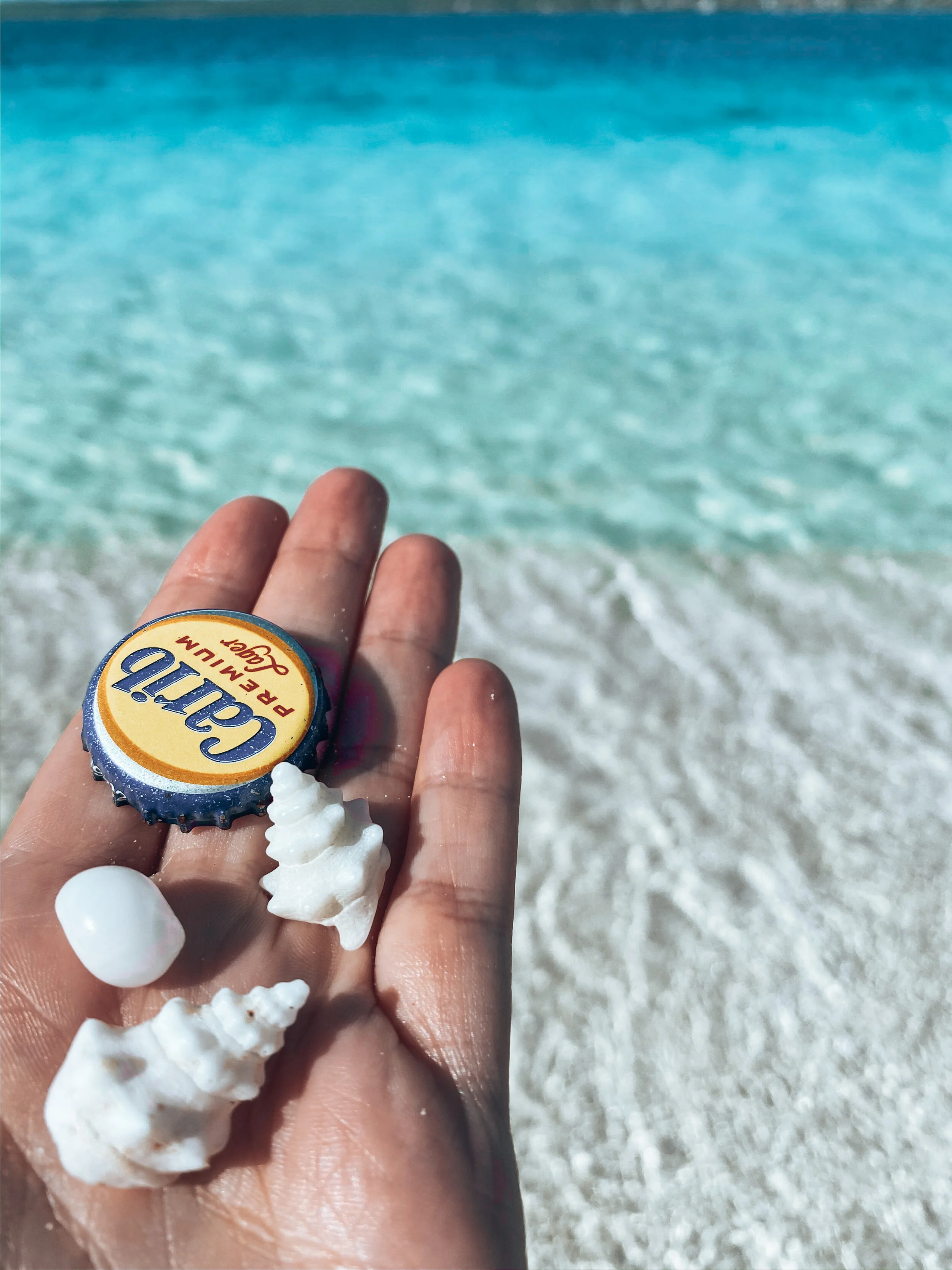 Gabriella Gerbasi | Photography | My Life in Shades of Blue   Ocean child passionate about ocean conservation and sustainability. Freediver and scuba diver capturing life, taking pictures of beautiful places and the people I love.&nbsp; 