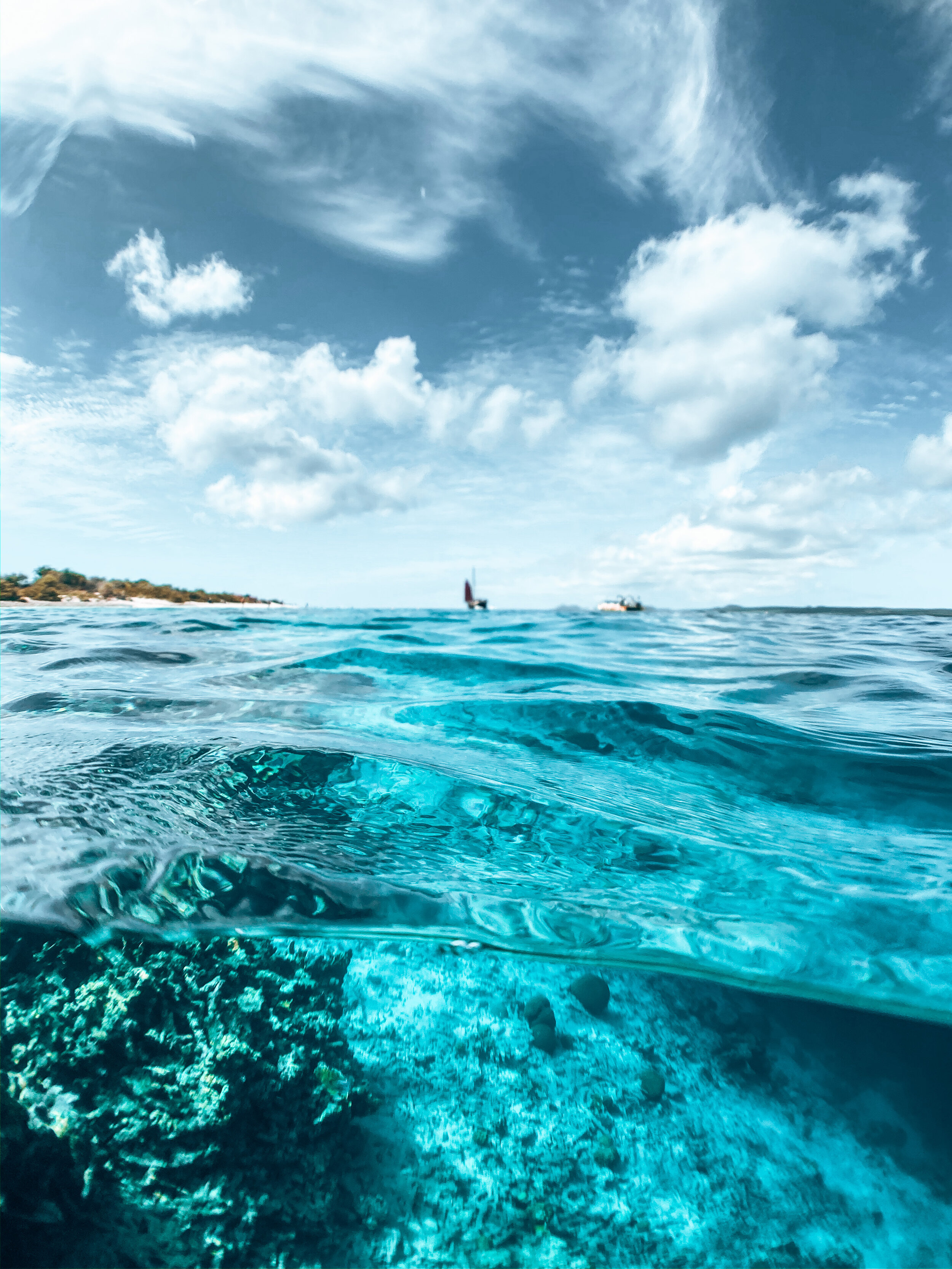  Gabriella Gerbasi | Photography | My Life in Shades of Blue  Underwater photography, scuba diving and freediving around the Caribbean. Swimming and diving with sea turtles, sharks and dolphins in the open ocean. 