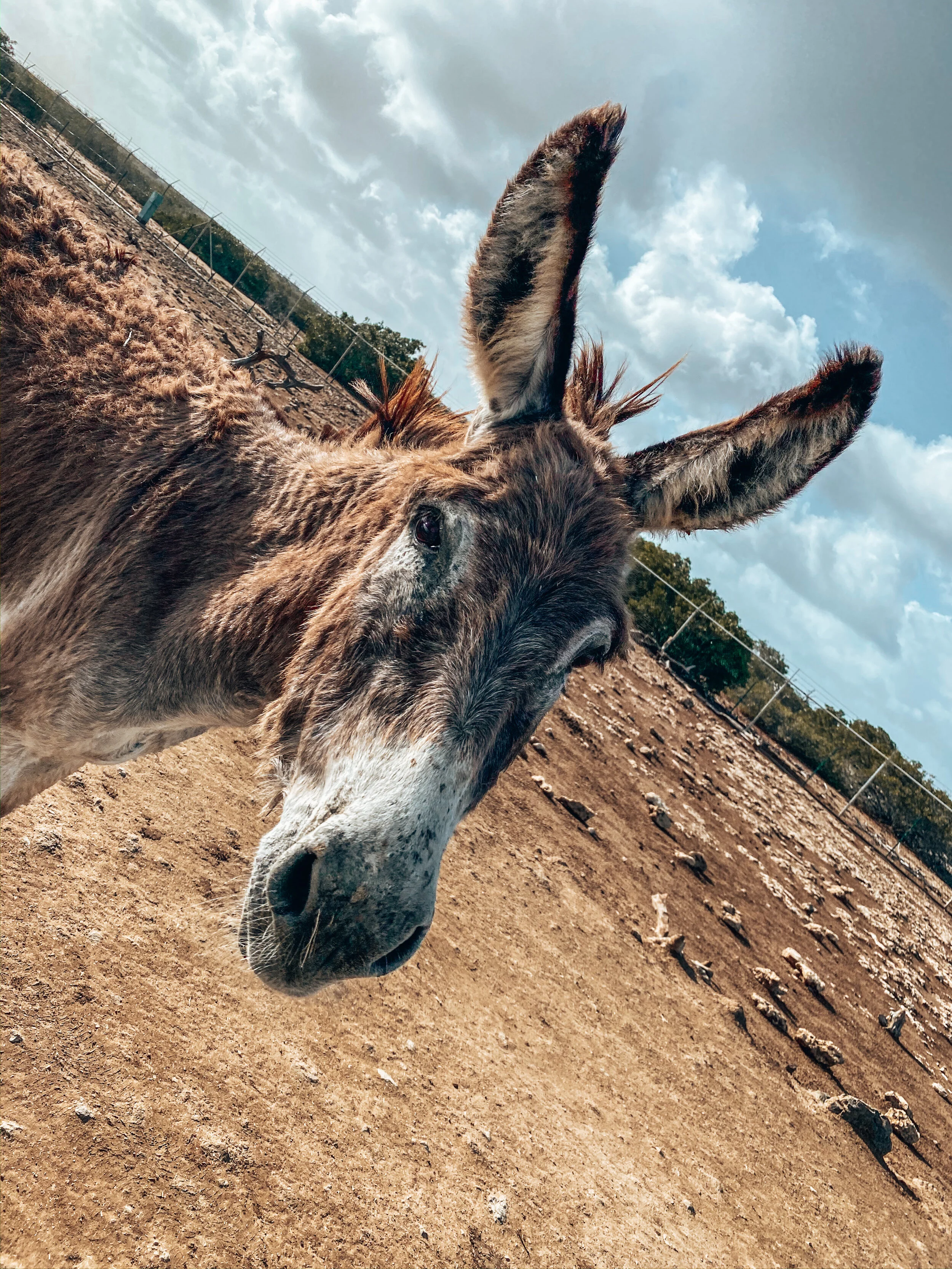  Gabriella Gerbasi | Photography | My Life in Shades of Blue   Bonaire is an island in the Caribbean Sea and its capital is Kralendijk, located near the ocean on the lee side of the island. Aruba, Bonaire and Curaçao form the ABC islands. Snorkeling 