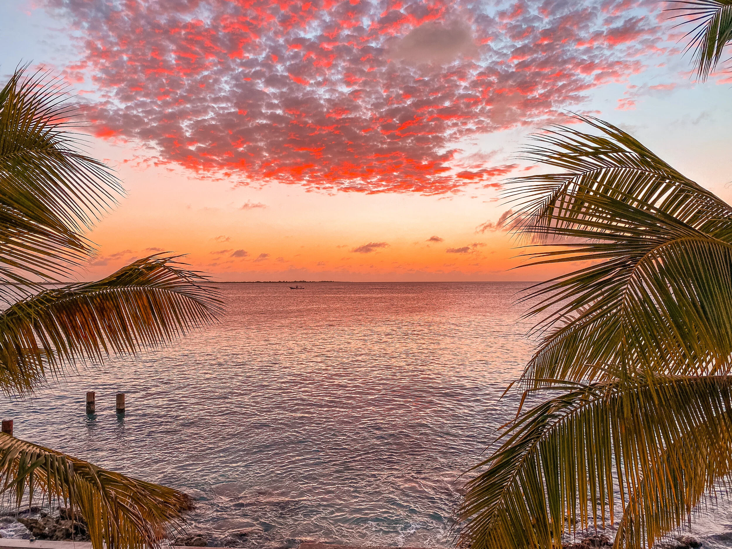  Gabriella Gerbasi | Photography | My Life in Shades of Blue   Bonaire is an island in the Caribbean Sea and its capital is Kralendijk, located near the ocean on the lee side of the island. Aruba, Bonaire and Curaçao form the ABC islands. Snorkeling 