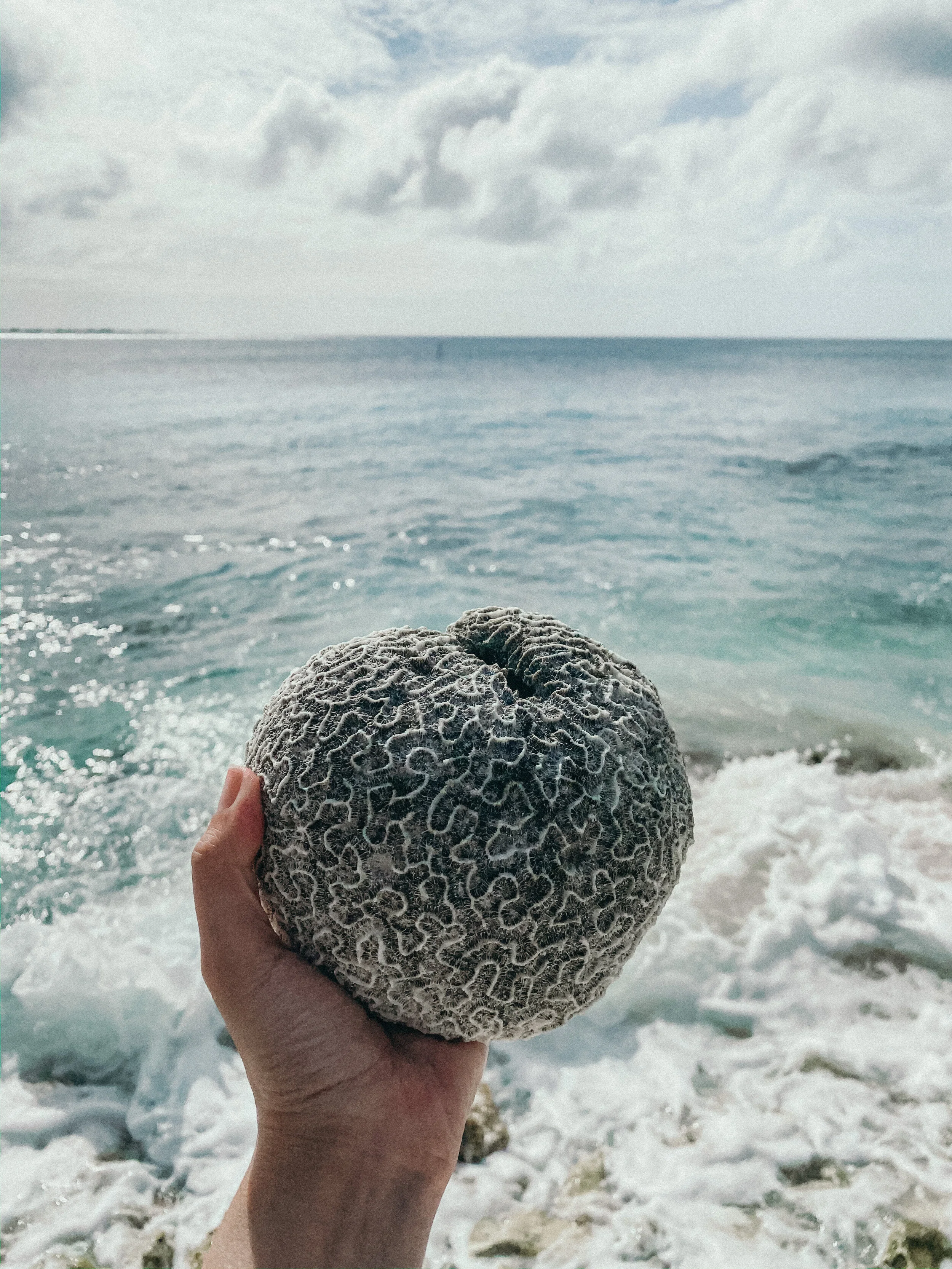  Gabriella Gerbasi | Photography | My Life in Shades of Blue   Bonaire is an island in the Caribbean Sea and its capital is Kralendijk, located near the ocean on the lee side of the island. Aruba, Bonaire and Curaçao form the ABC islands. Snorkeling 