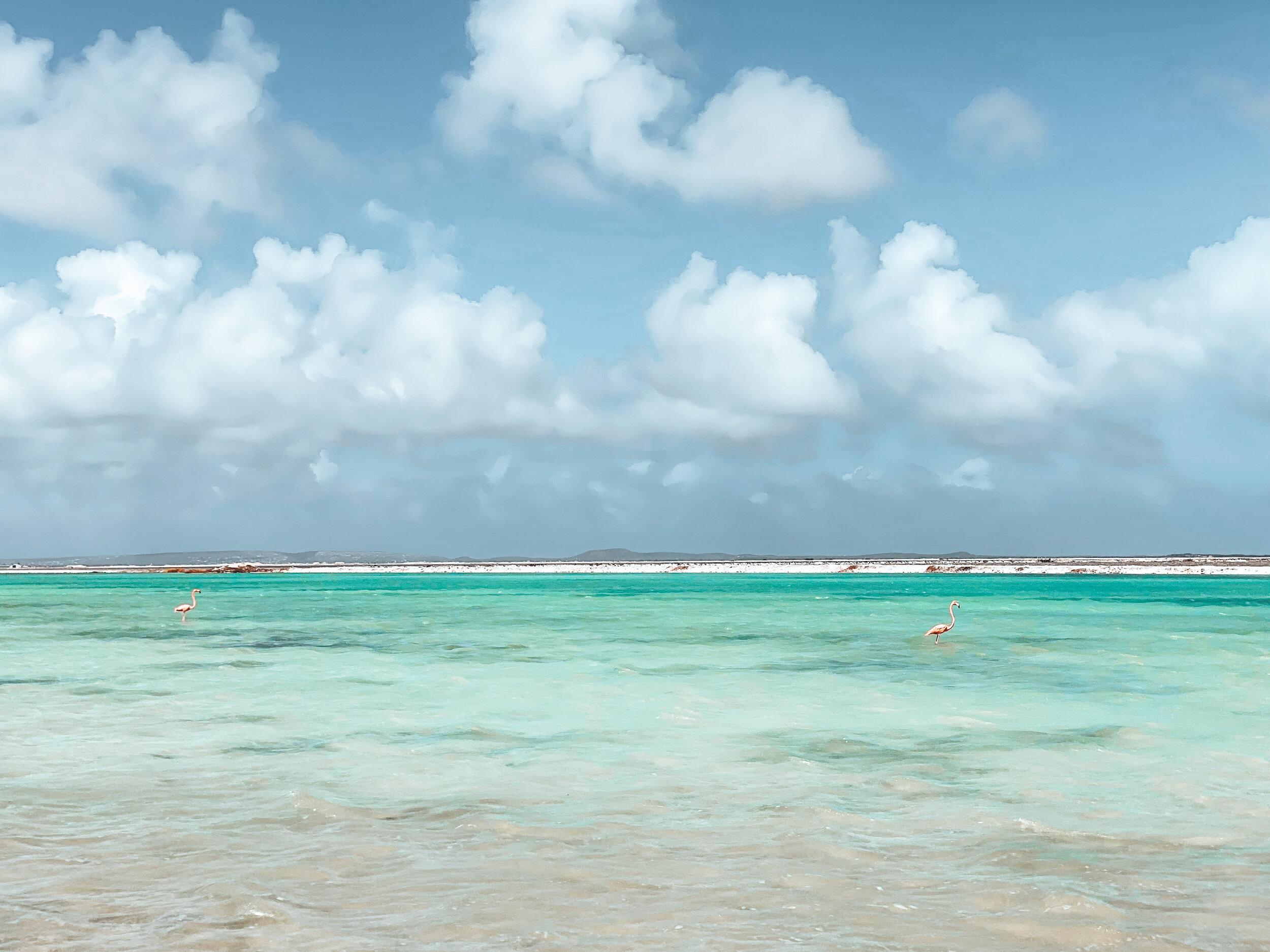  Gabriella Gerbasi | Photography | My Life in Shades of Blue   Bonaire is an island in the Caribbean Sea and its capital is Kralendijk, located near the ocean on the lee side of the island. Aruba, Bonaire and Curaçao form the ABC islands. Snorkeling 