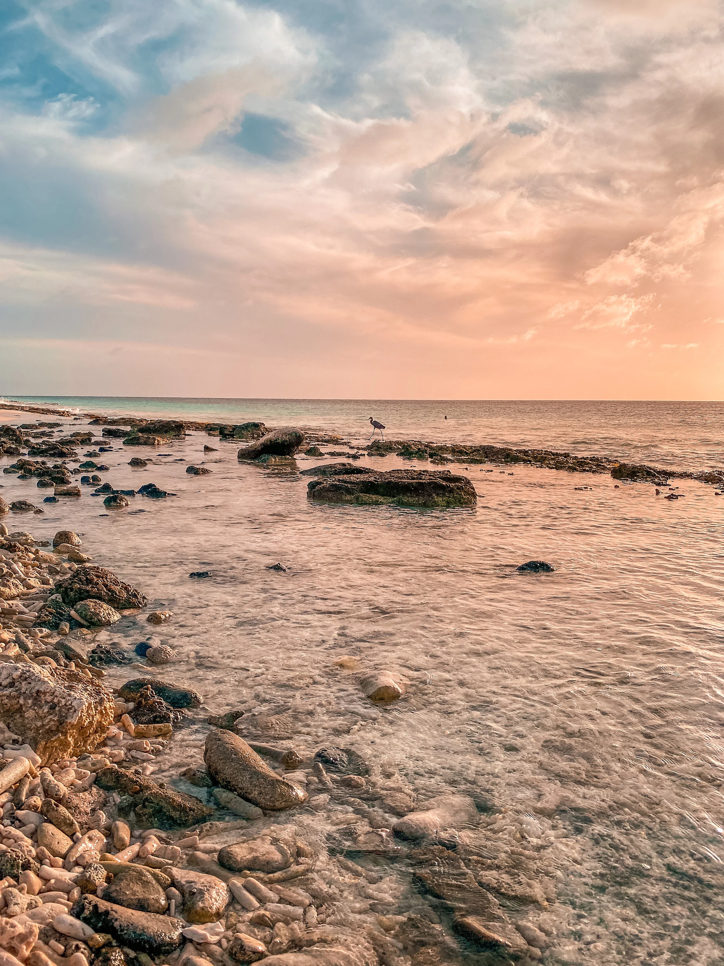  Gabriella Gerbasi | Photography | My Life in Shades of Blue   Bonaire is an island in the Caribbean Sea and its capital is Kralendijk, located near the ocean on the lee side of the island. Aruba, Bonaire and Curaçao form the ABC islands. Snorkeling 
