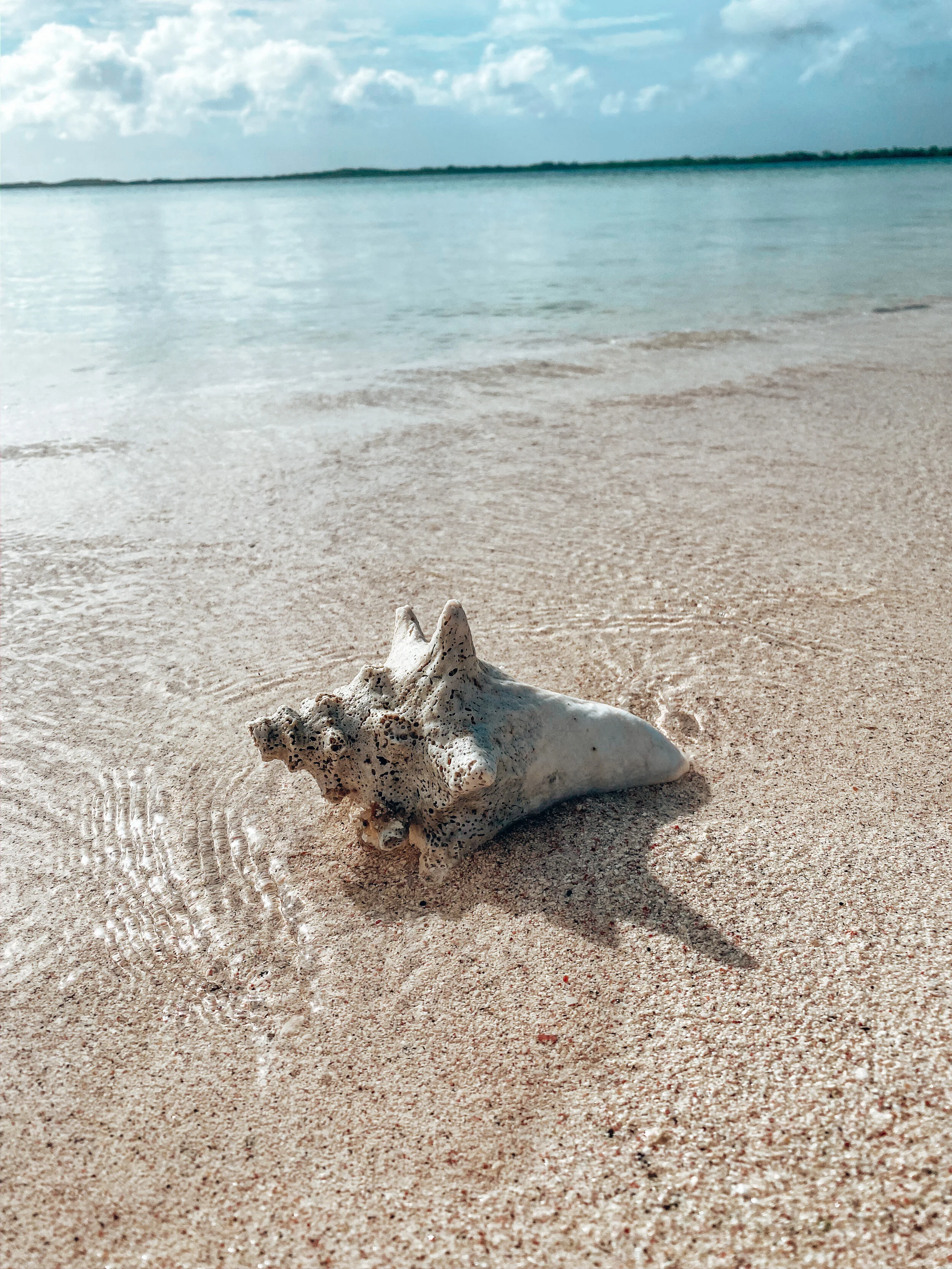  Gabriella Gerbasi | Photography | My Life in Shades of Blue   Bonaire is an island in the Caribbean Sea and its capital is Kralendijk, located near the ocean on the lee side of the island. Aruba, Bonaire and Curaçao form the ABC islands. Snorkeling 