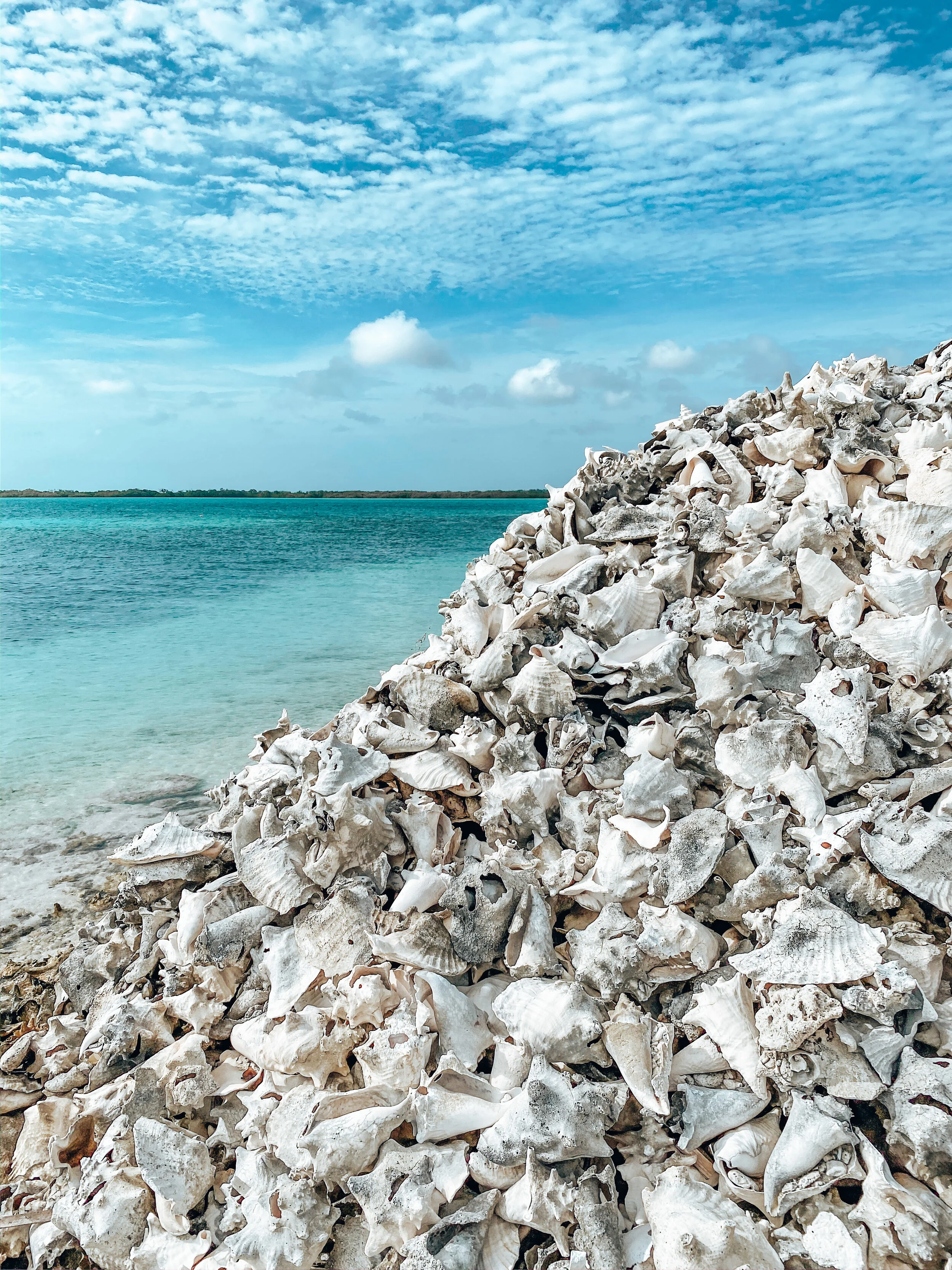  Gabriella Gerbasi | Photography | My Life in Shades of Blue   Bonaire is an island in the Caribbean Sea and its capital is Kralendijk, located near the ocean on the lee side of the island. Aruba, Bonaire and Curaçao form the ABC islands. Snorkeling 