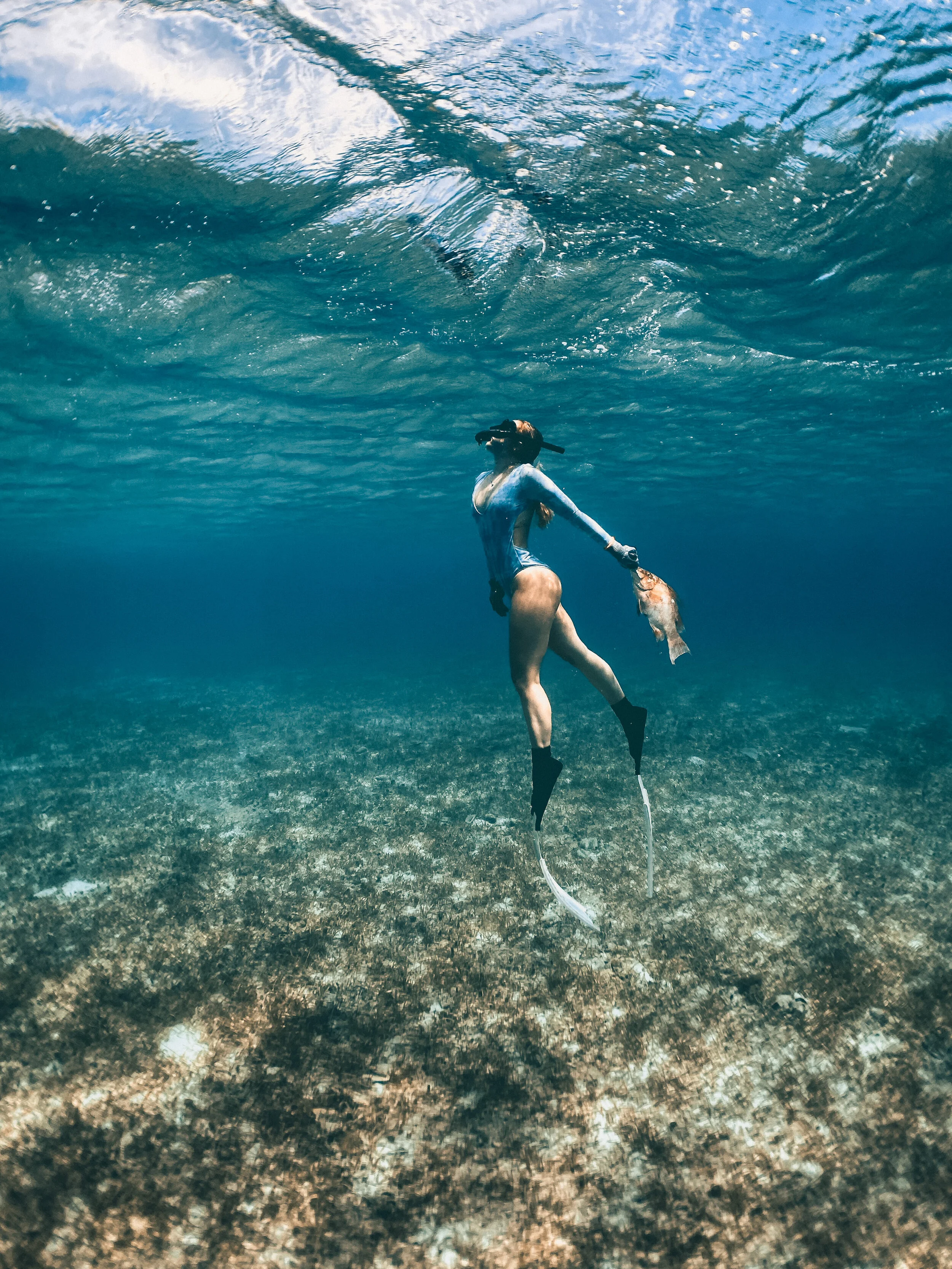  Just casually swimming in the ocean with the hogfish I just caught.  